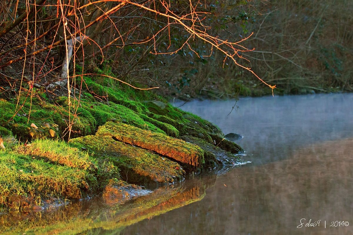 In Light and Shadow ...