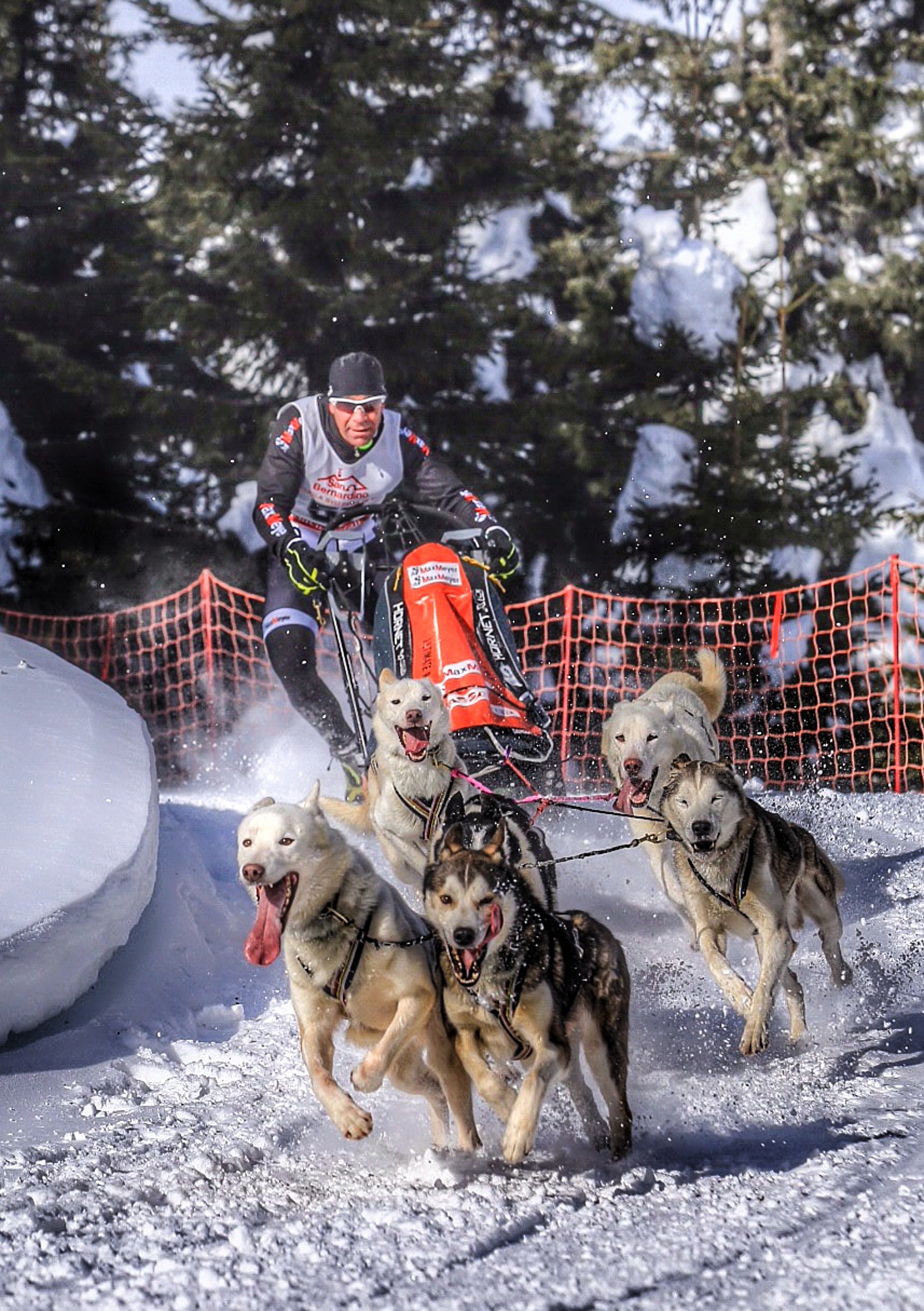 Musher Trophy San Bernardino