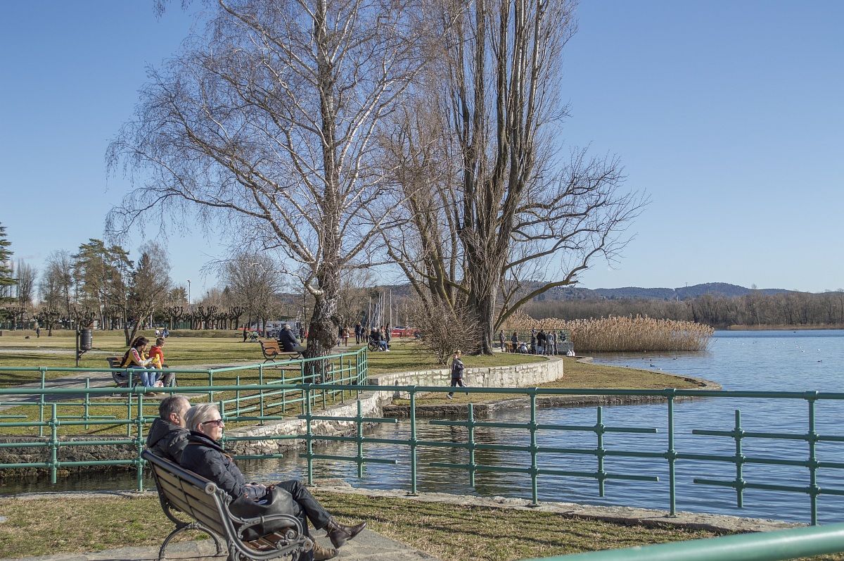 Relax on the long-lake