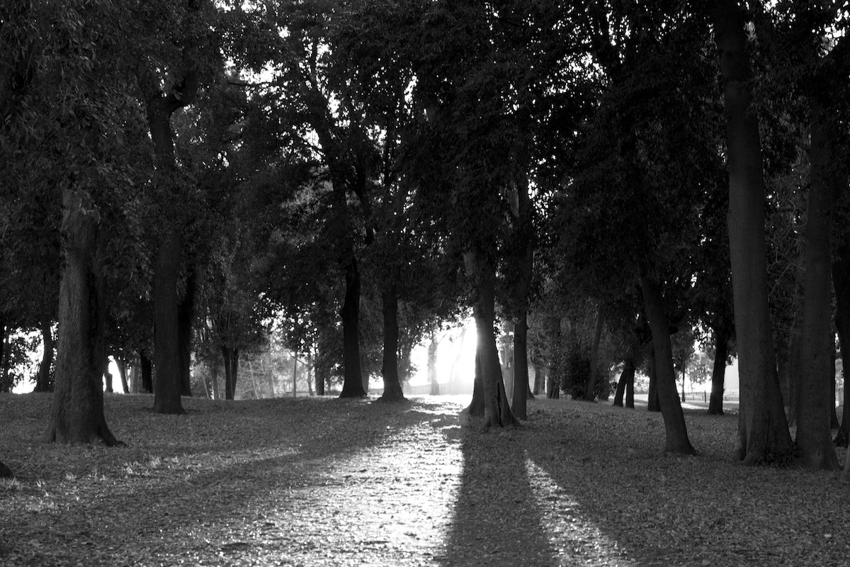 light in the shadows ...