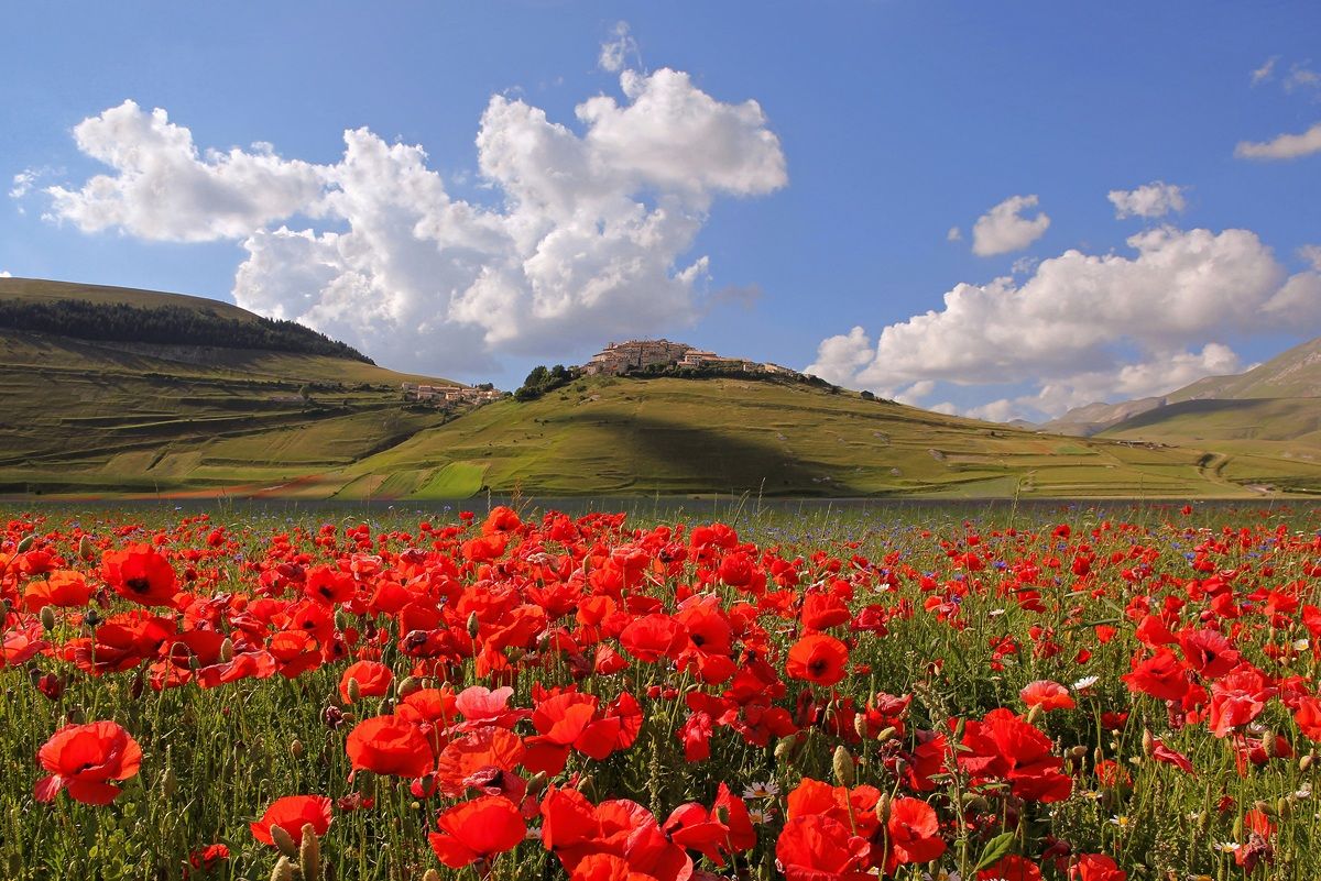 Castelluccio