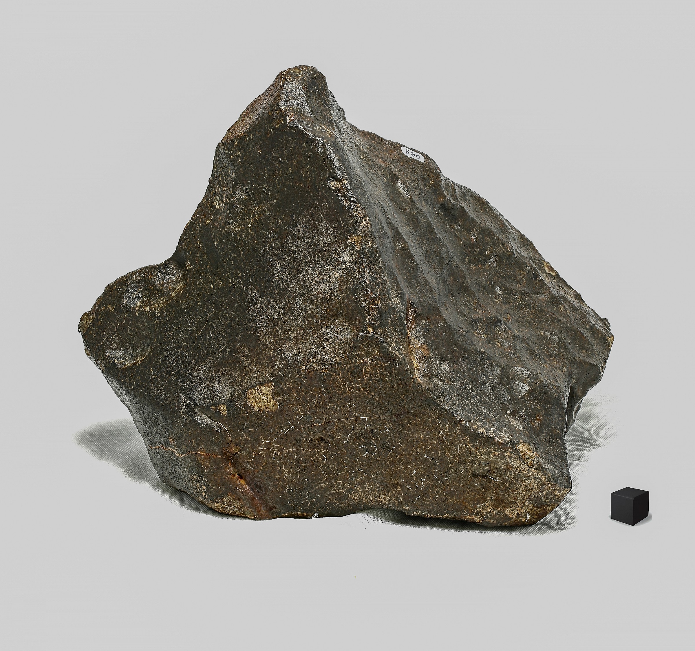 L'esprimere un desiderio e la stella cadente esaudisce