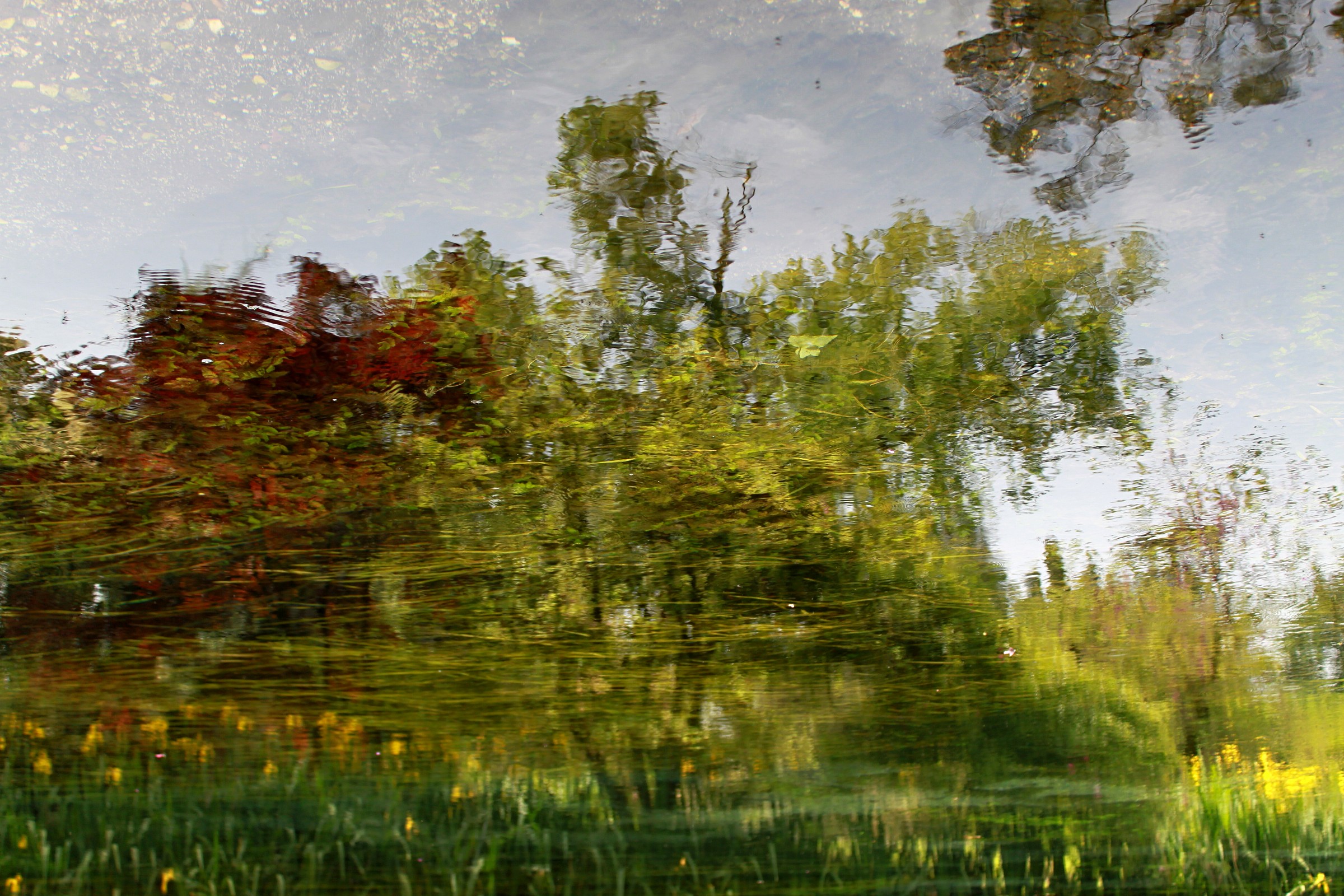 Impressionist Nature
