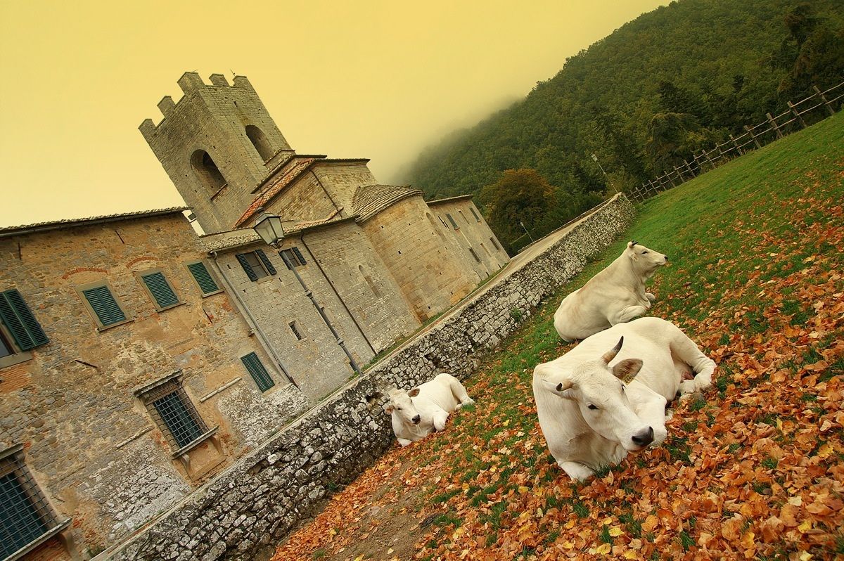Badia a Coltibuono - Gaiole in Chianti