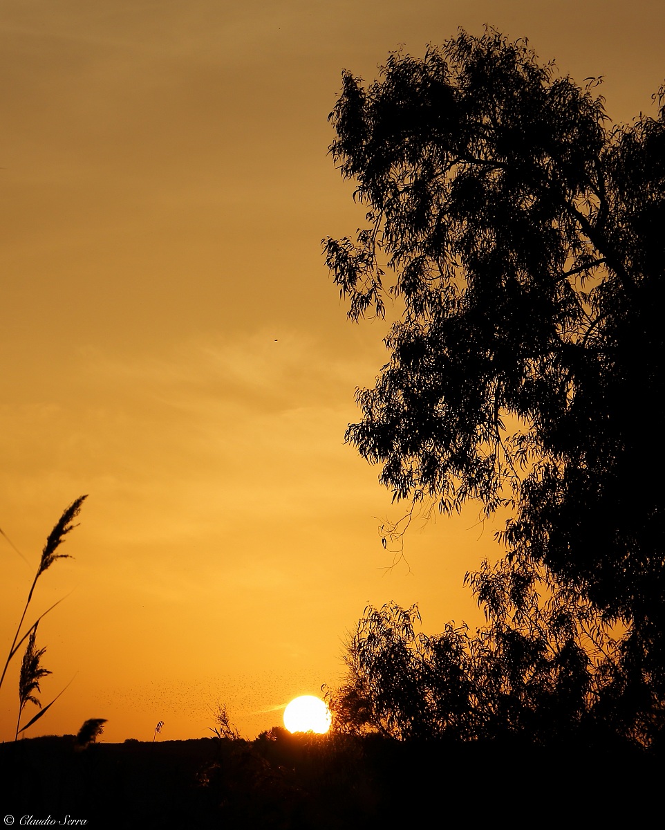 Beautiful sunset seen from the Pond Platamona