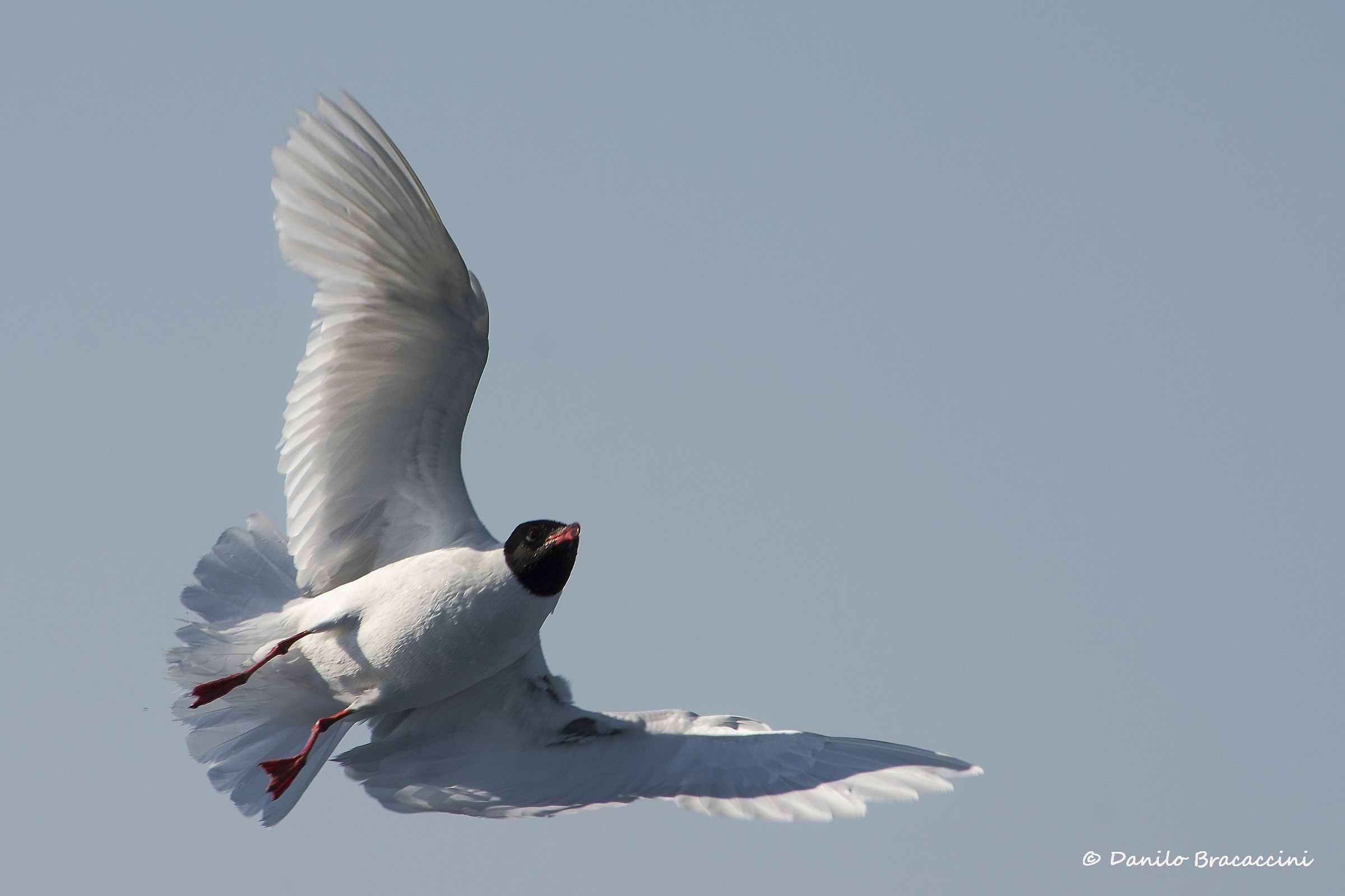 Turn at the last second