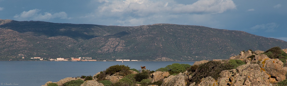 The lookout of Cala Reale