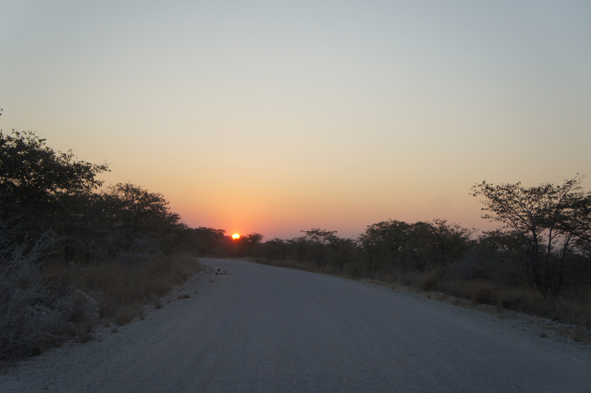 "Tramonto sull'Etosha"