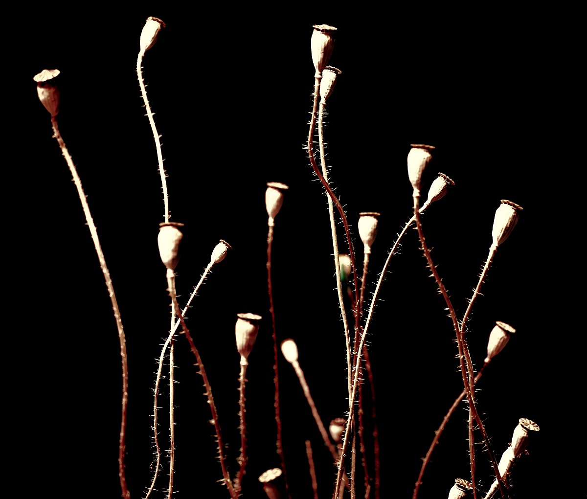 Pensieri notturni emergono impietosi