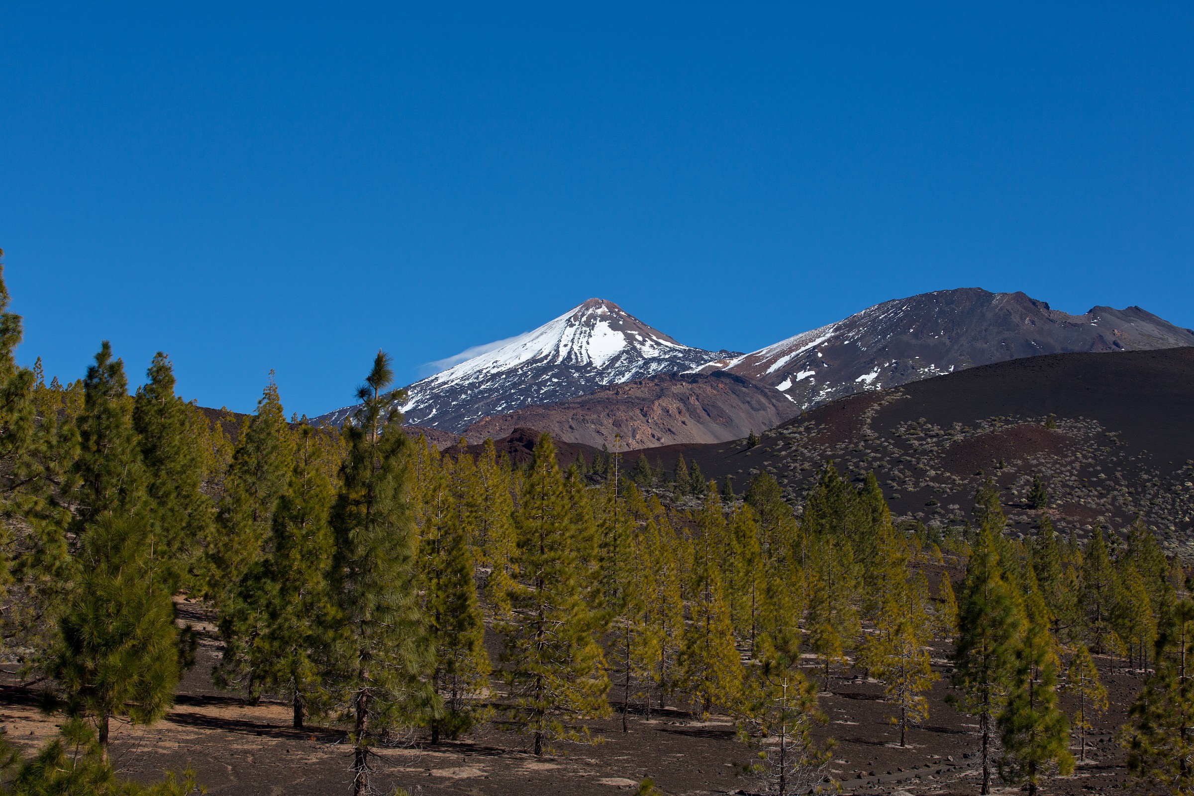tenerife volcano