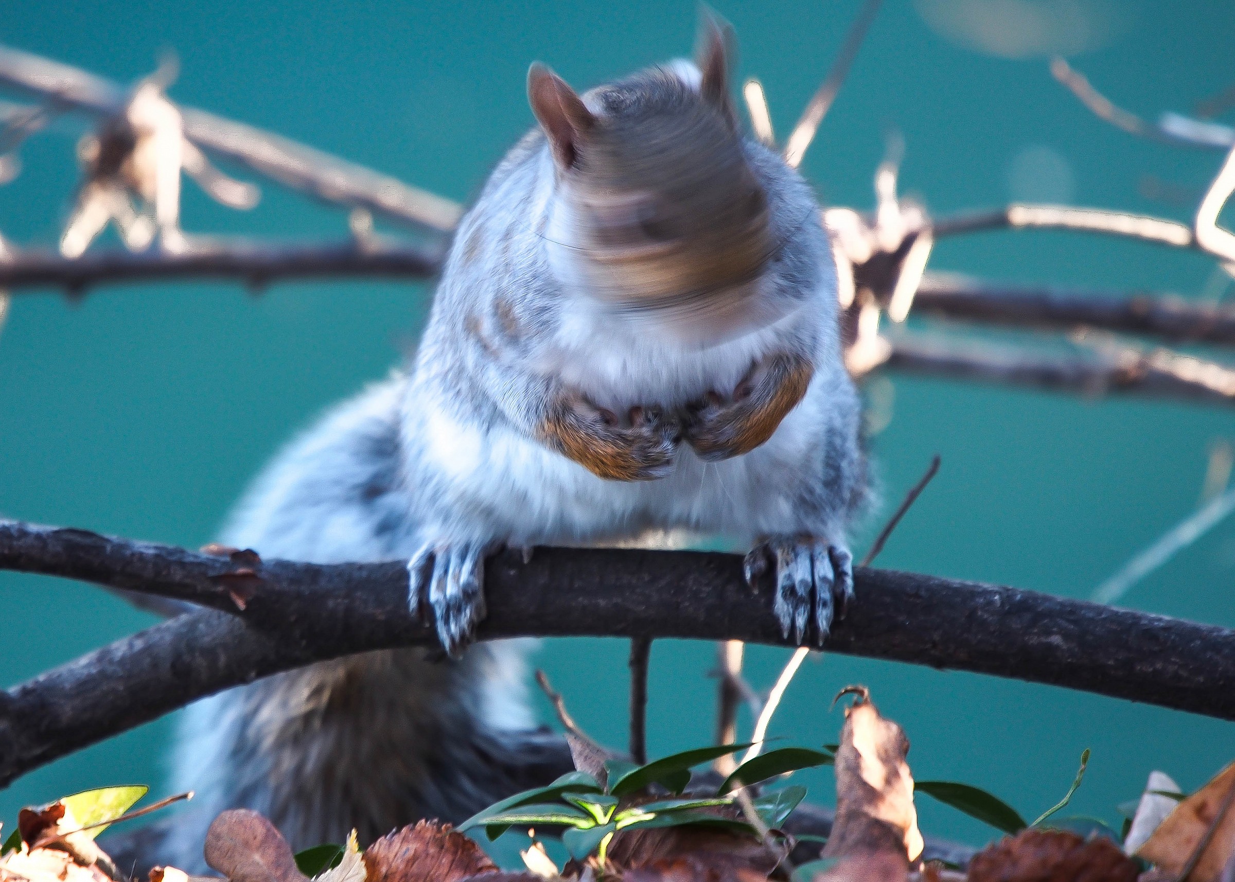 I'm too fast for you .................