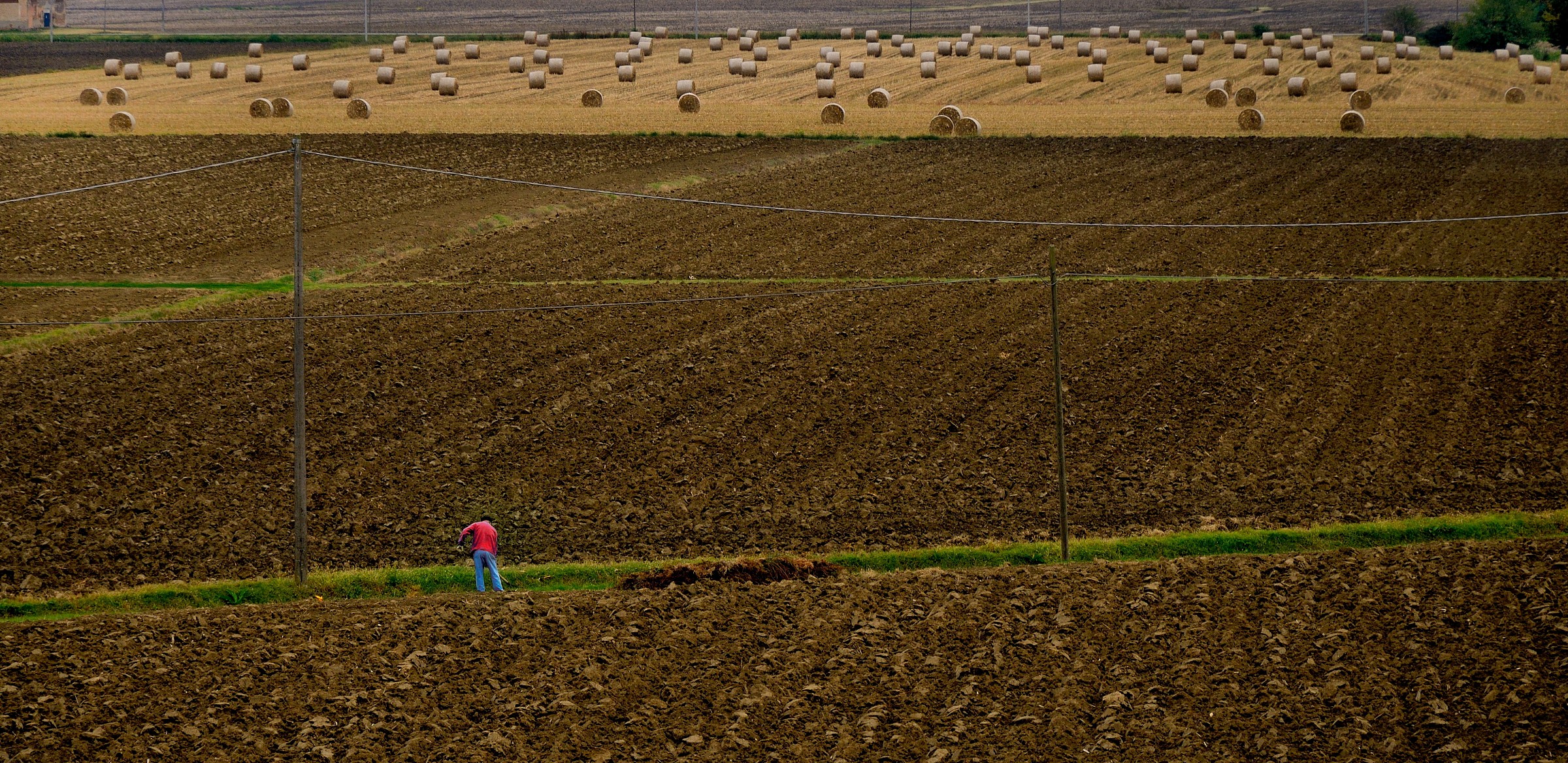 The hard work of the earth