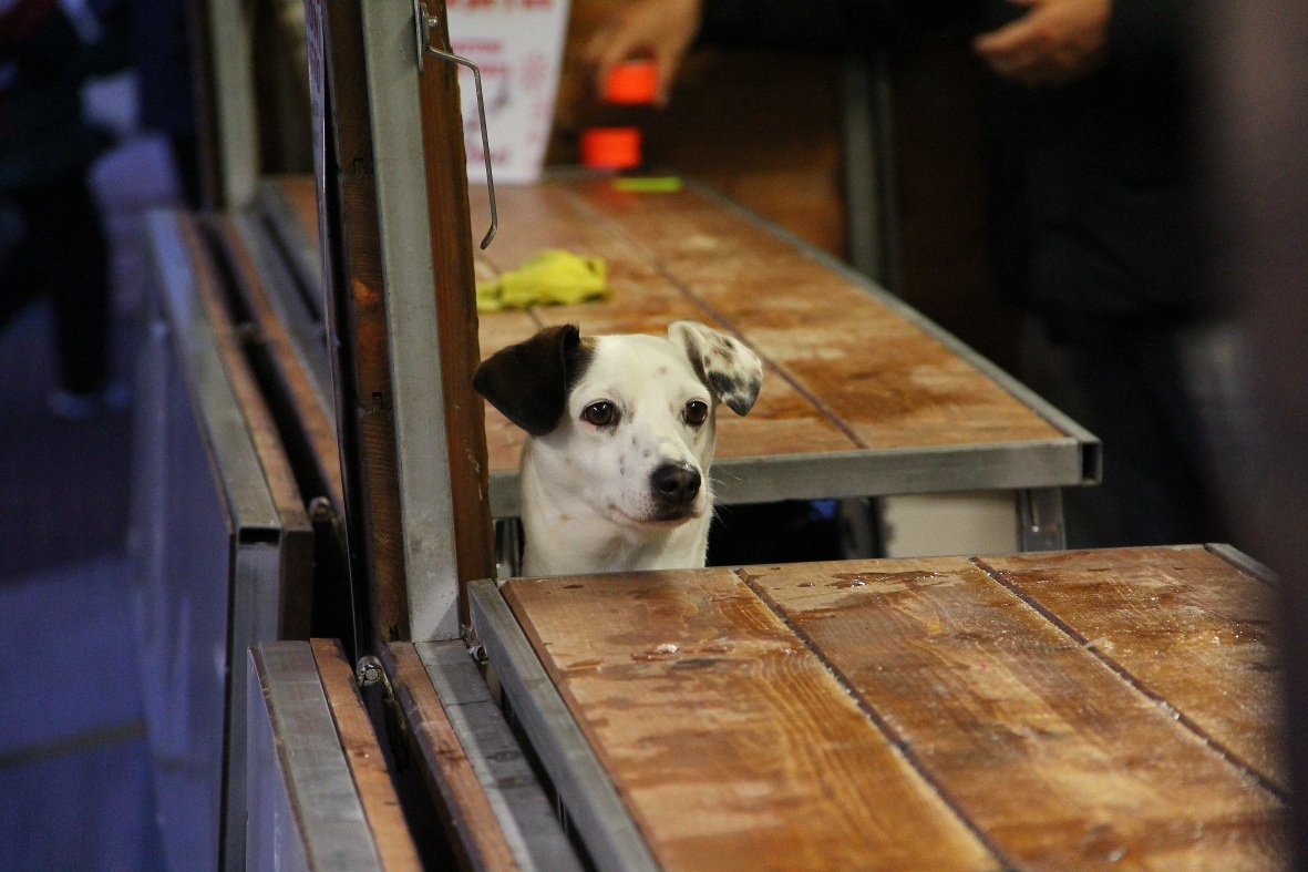 La prima foto scattata con la reflex