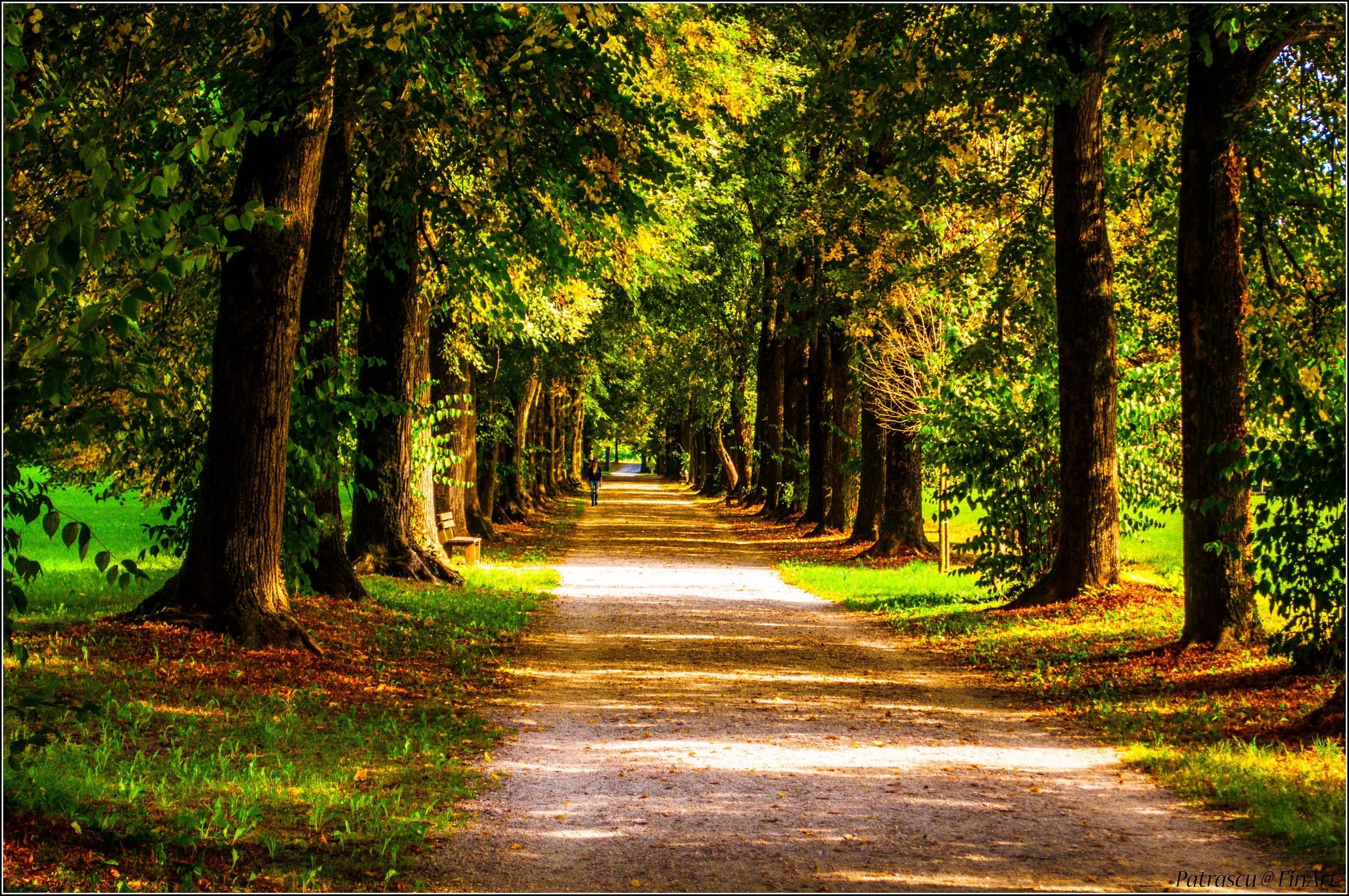 Parco di Villa Varda