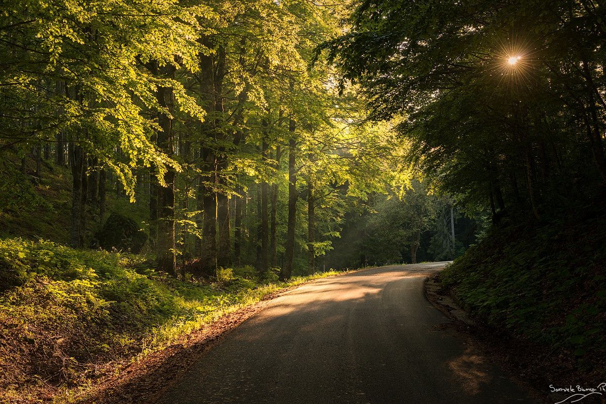 I've seen the light!