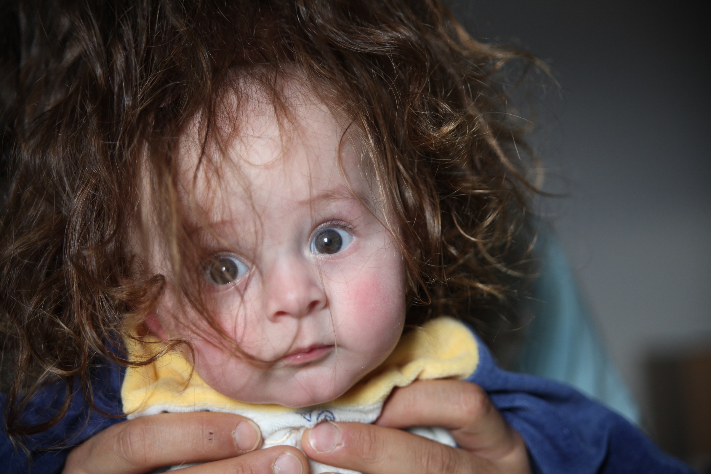 Dragon with the hair of the Pope '