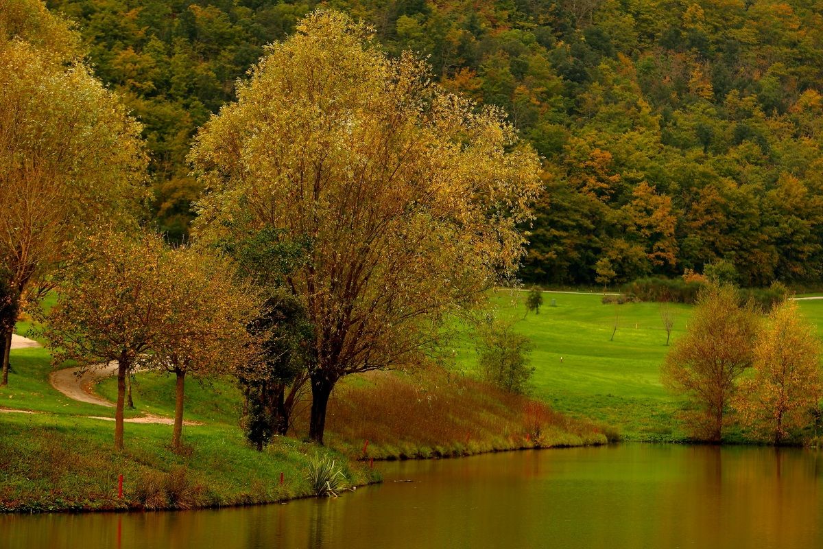 The lake of golf