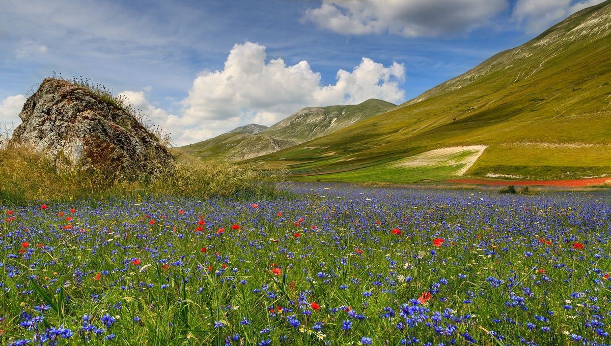 Castelluccio