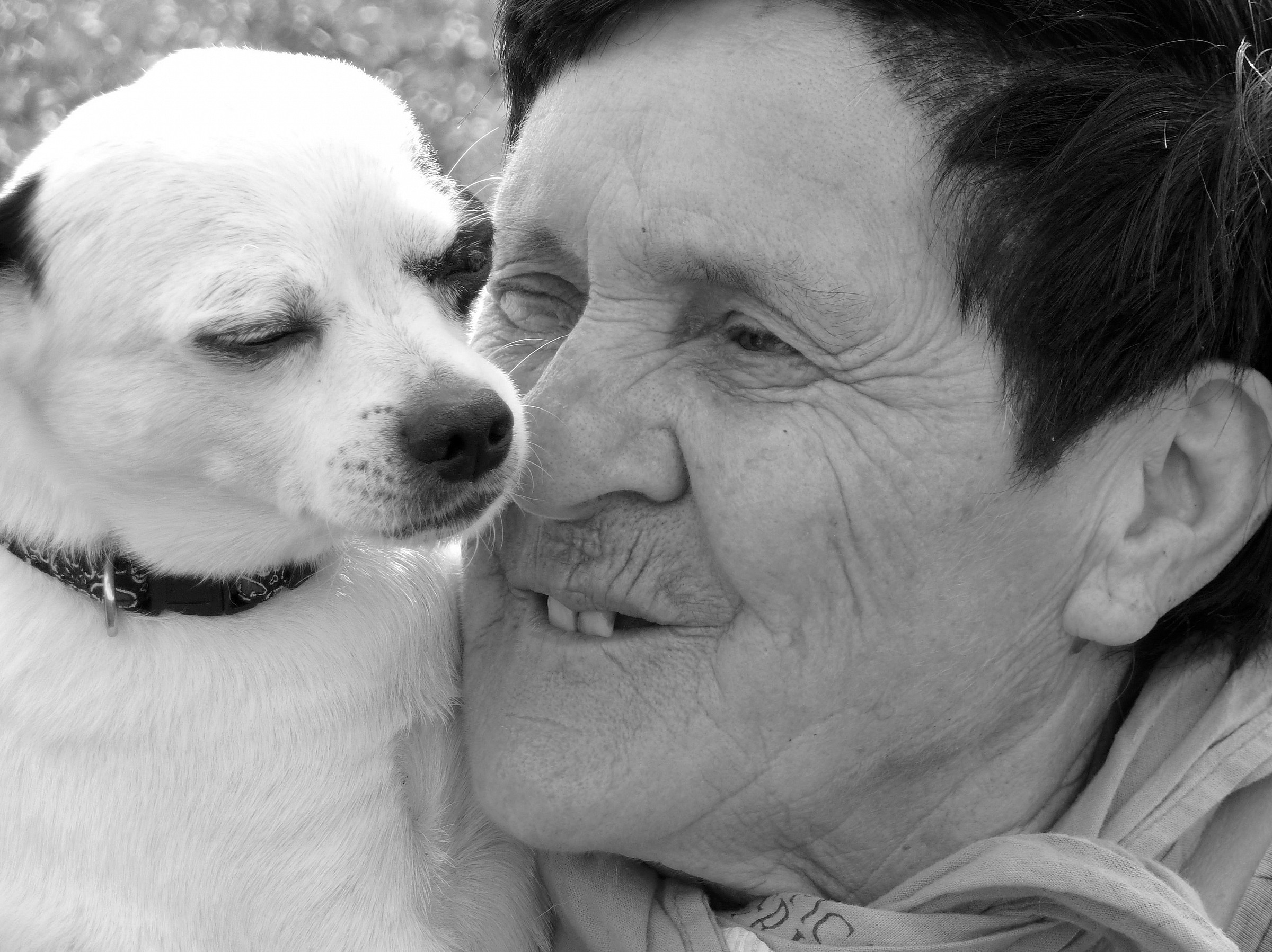 We have to be viscini viscini ...