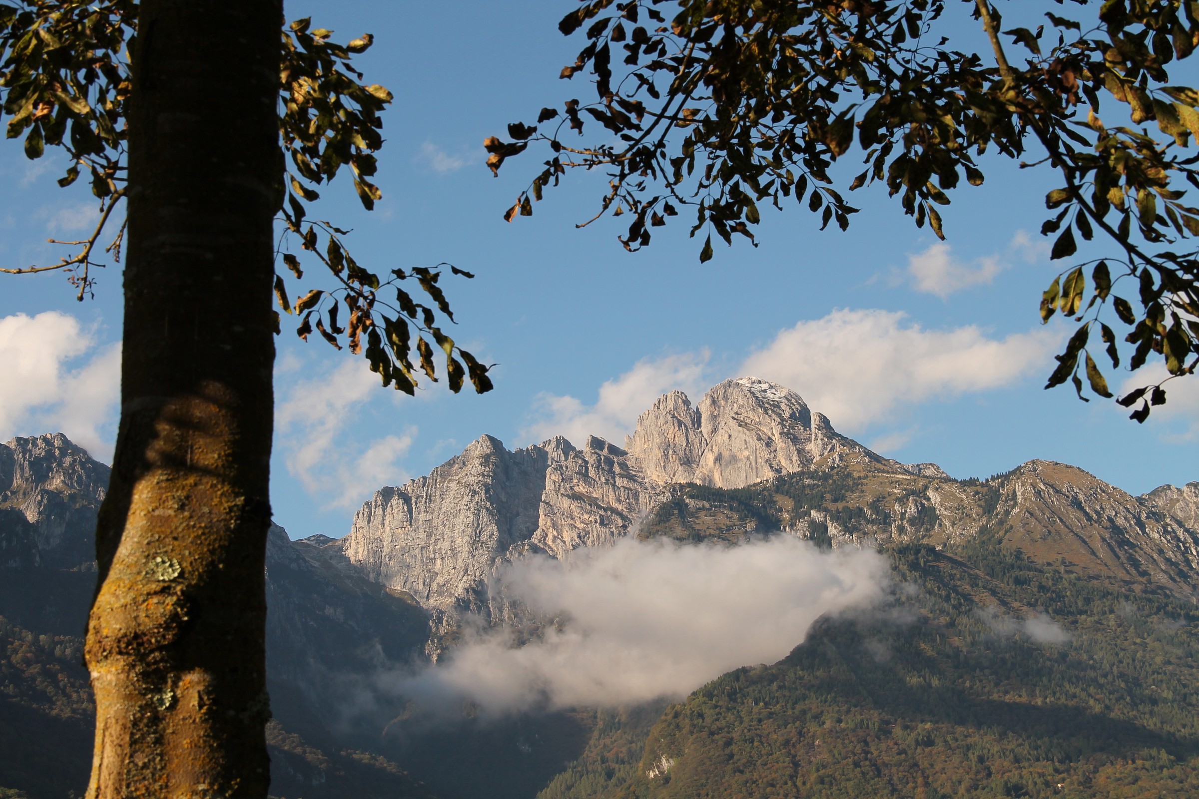 The Symbol Of Valbelluna .. Mount Pizzocco .... (BL)