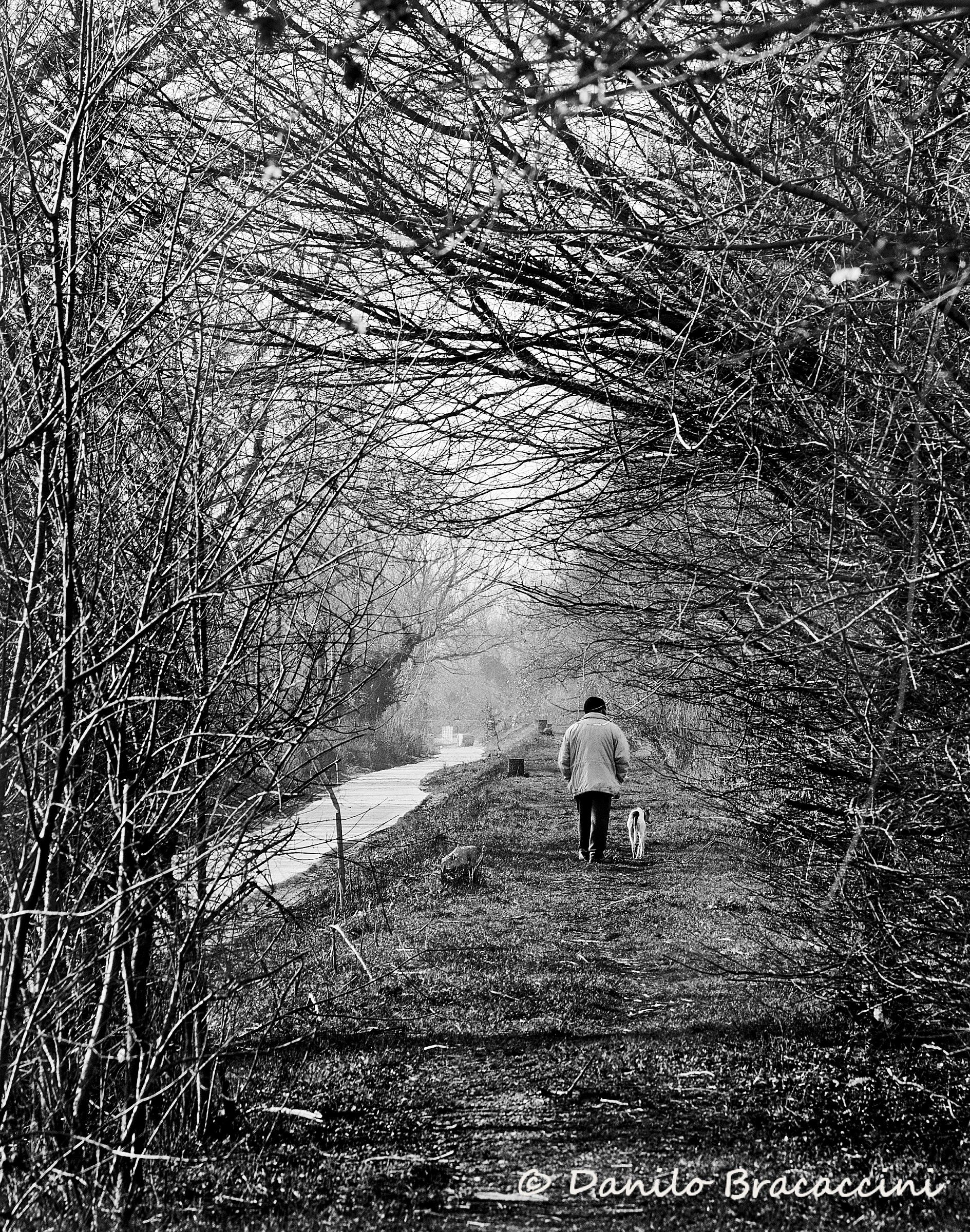 Passeggiata lungofiume