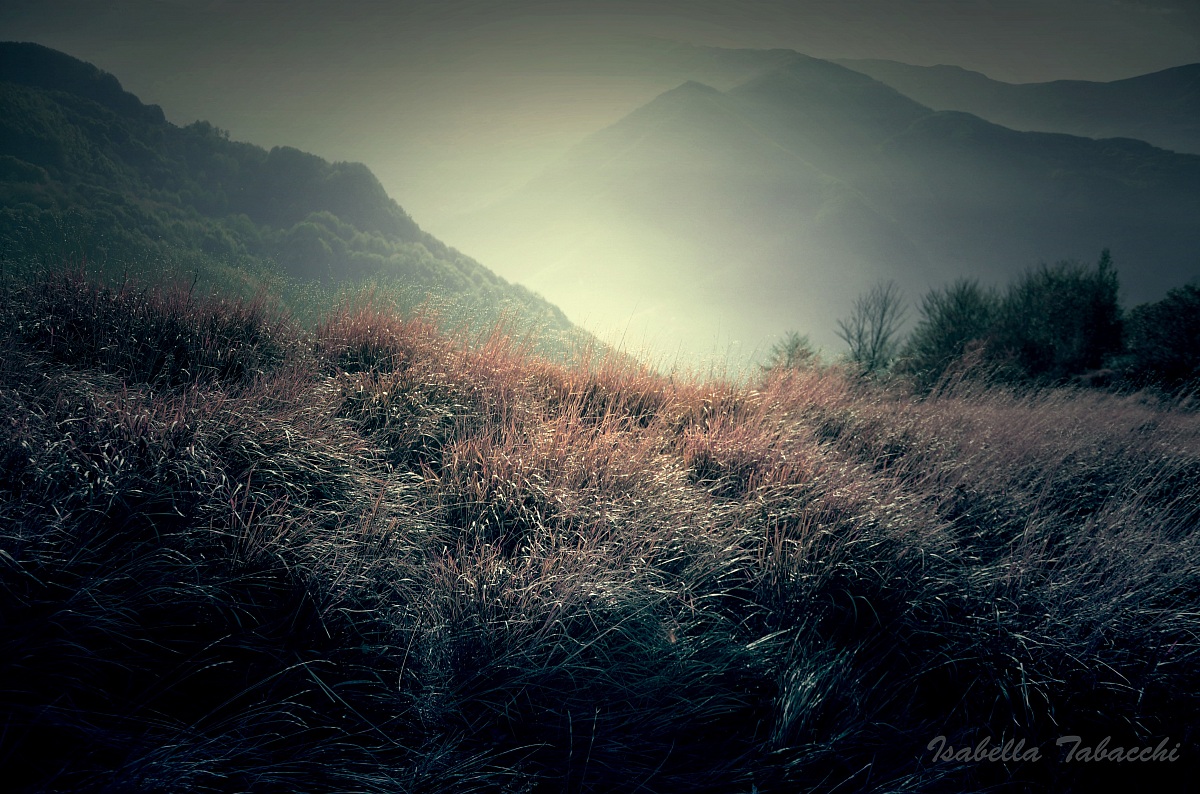 Nebbia all'orizzonte