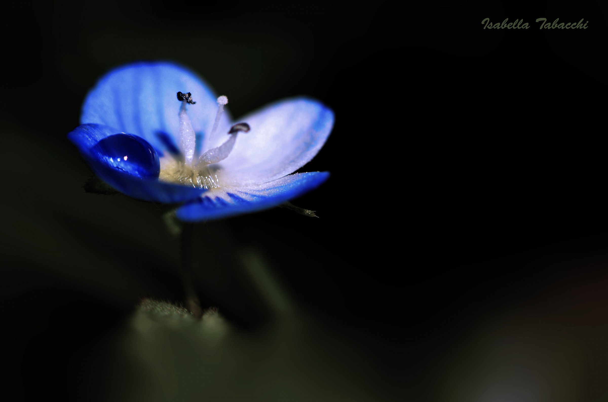 L'ultima illusione sta scivolando via...