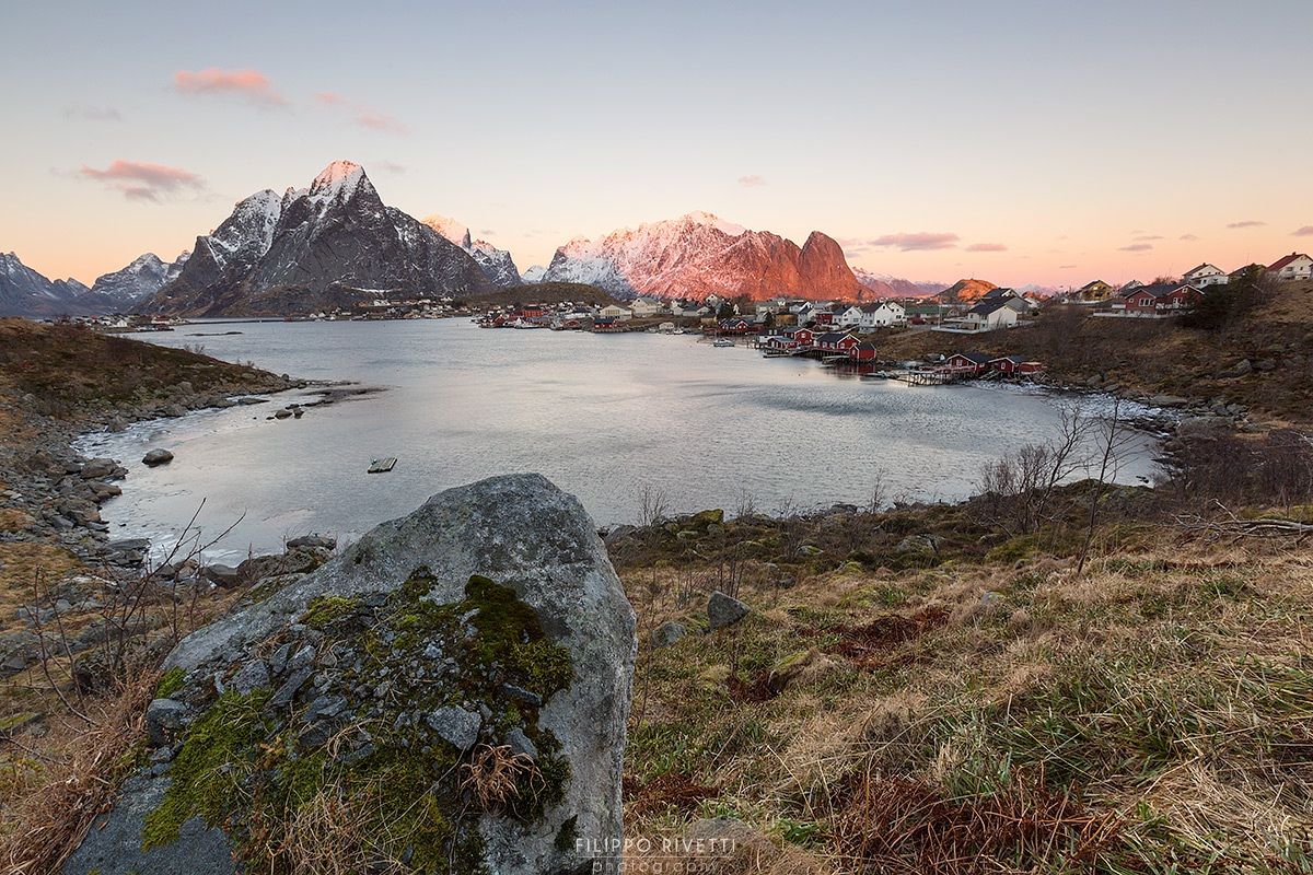 Reine
