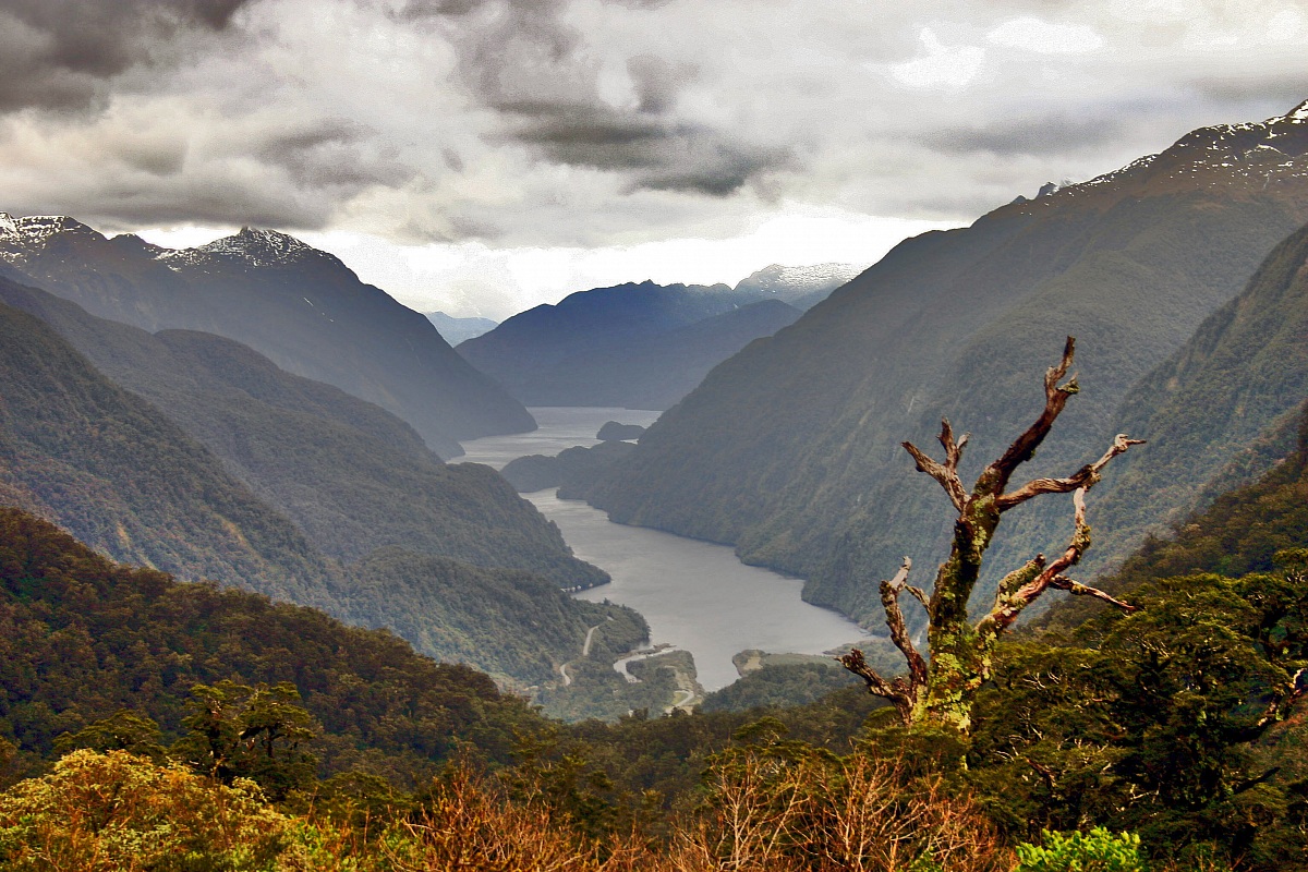 Milford Sound - New Zealand