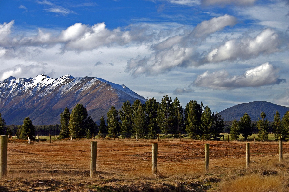 Somewhere in New Zealand