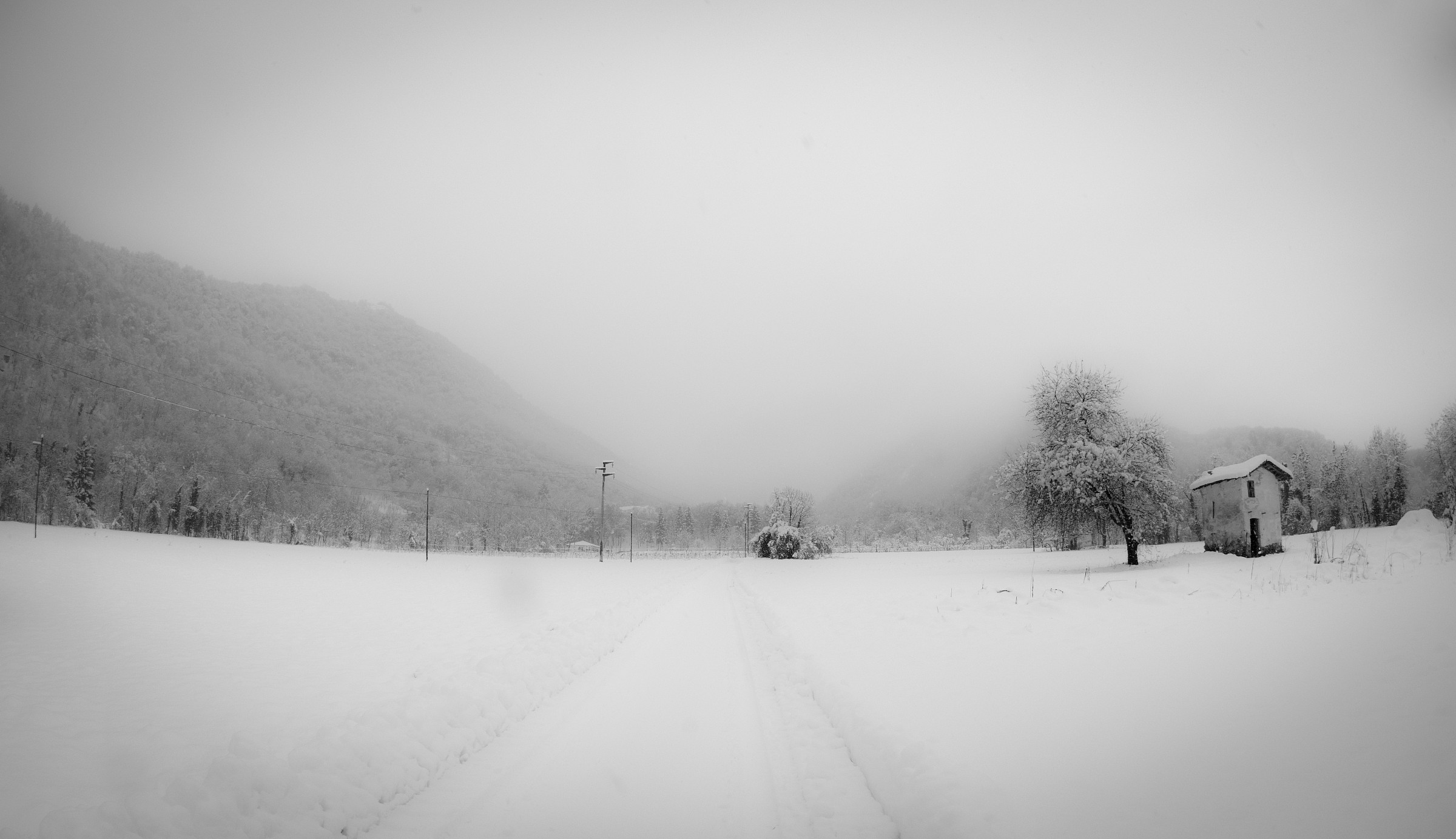 B/N Neve abbagliante