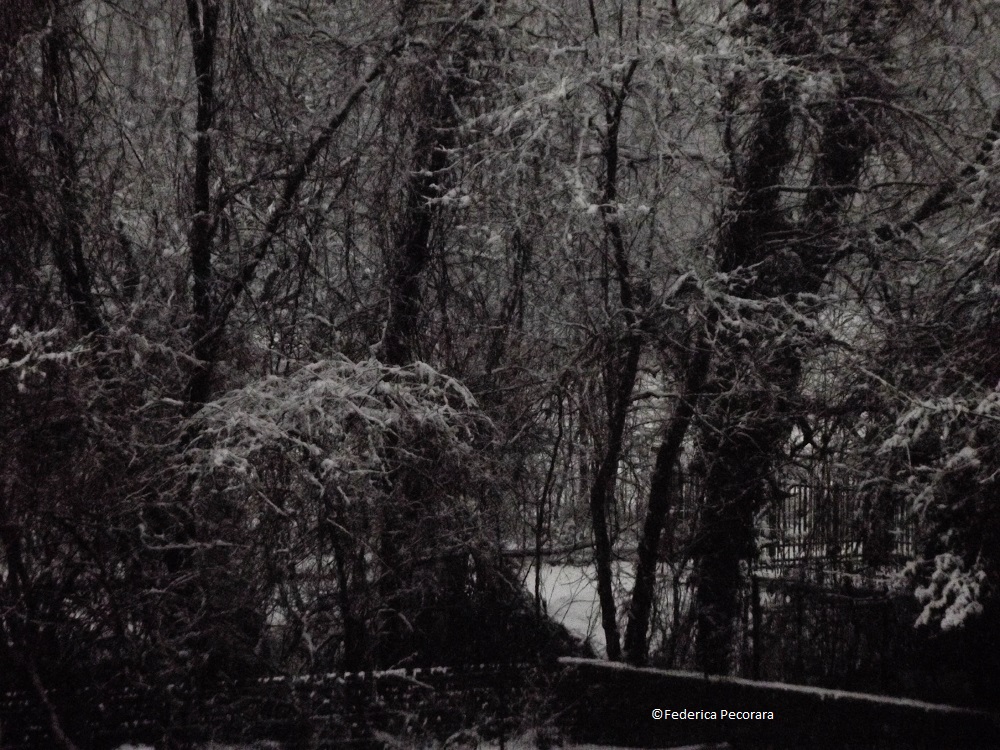 Lardirago, Gennaio 2014, no editing.