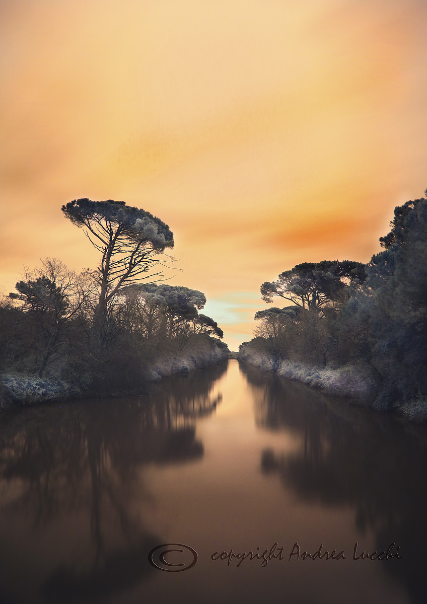 pineta infrarorsso a modo mio