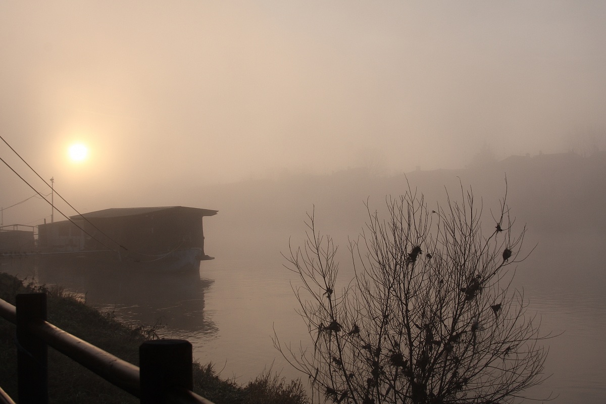 in spite of everything, the sun ...