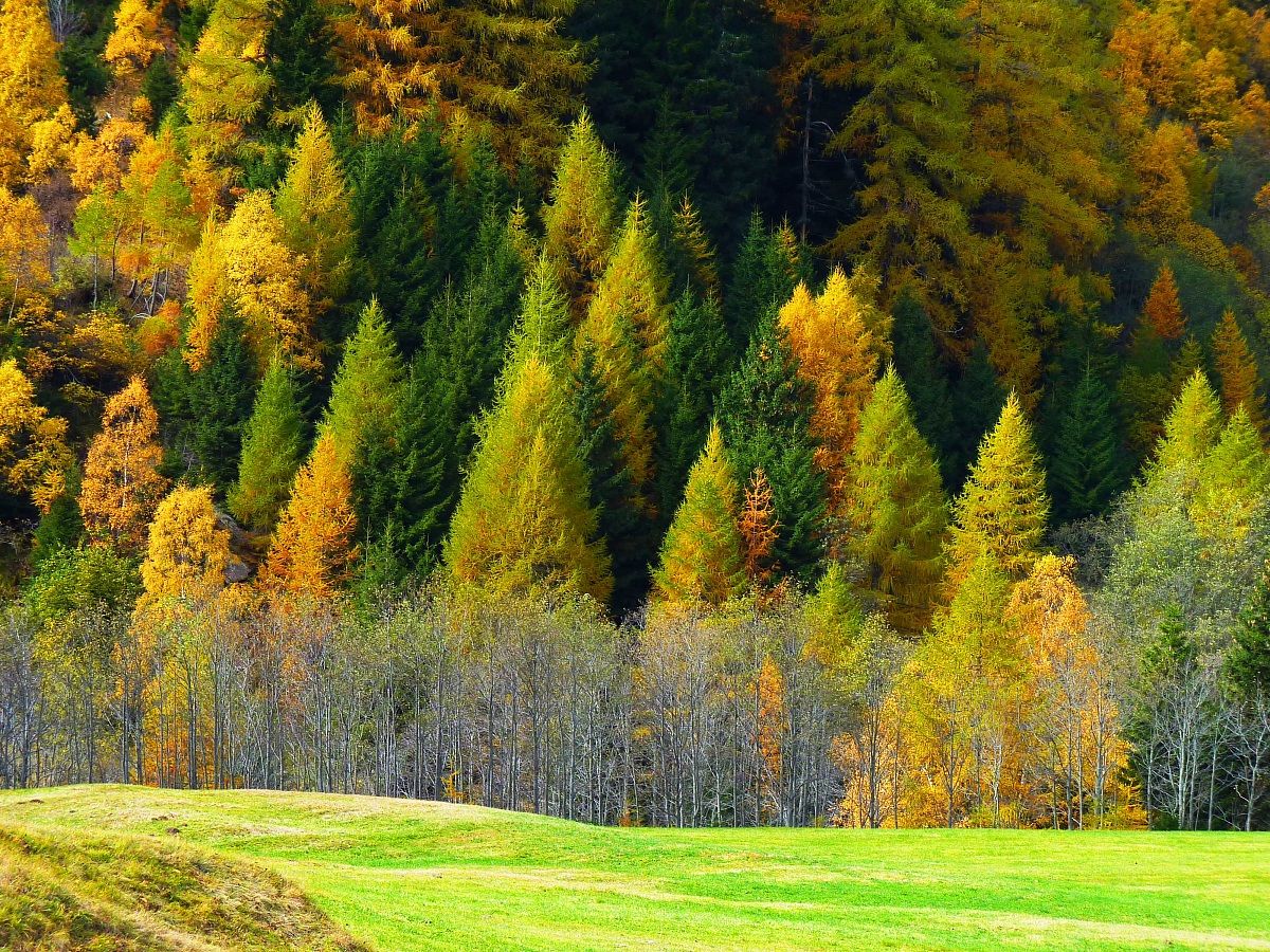 Valle Engadina (Svizzera)