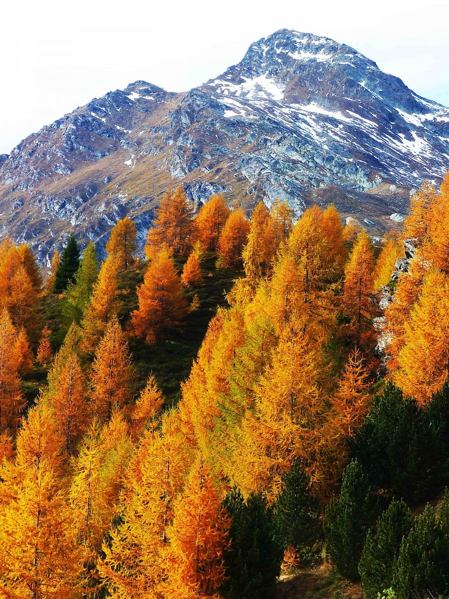 Valle Engadina (Svizzera)
