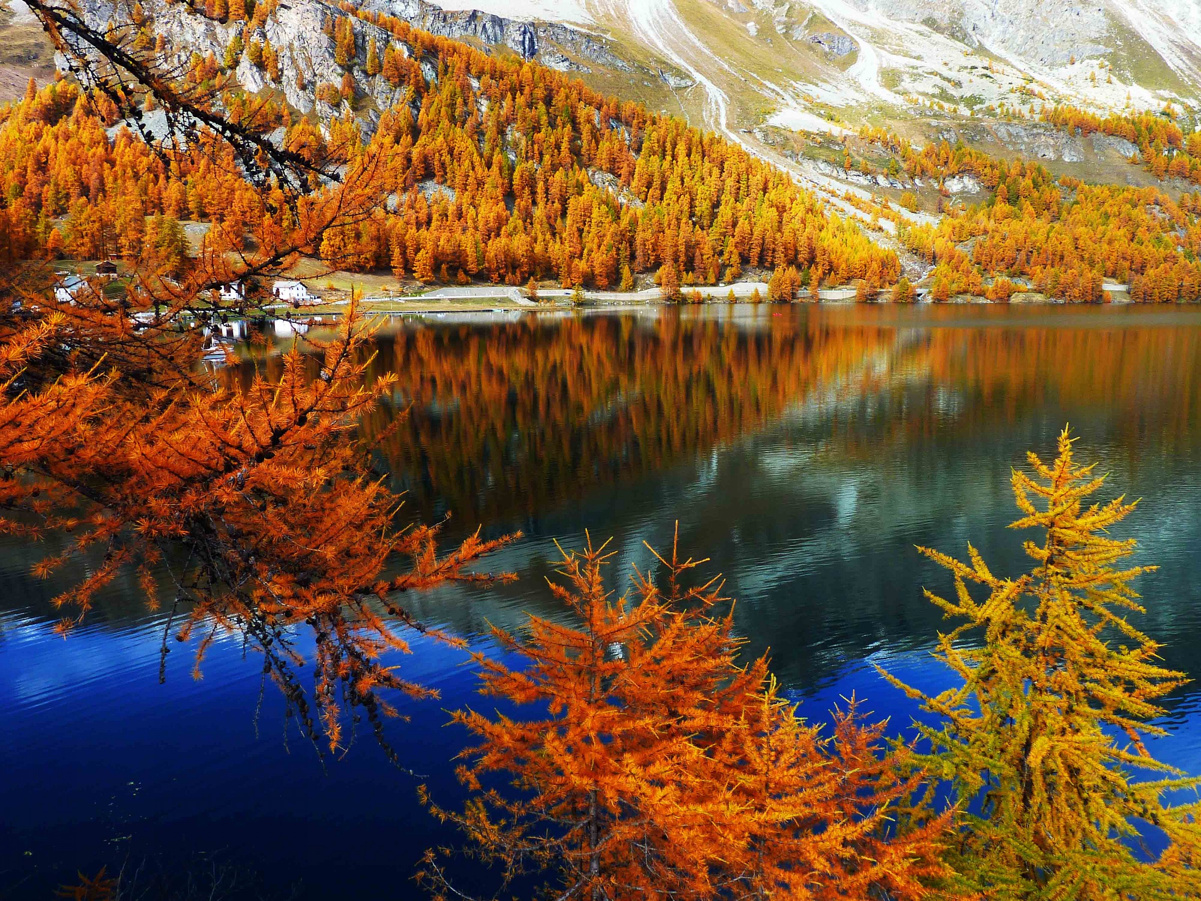 Valle Engadina (Svizzera)