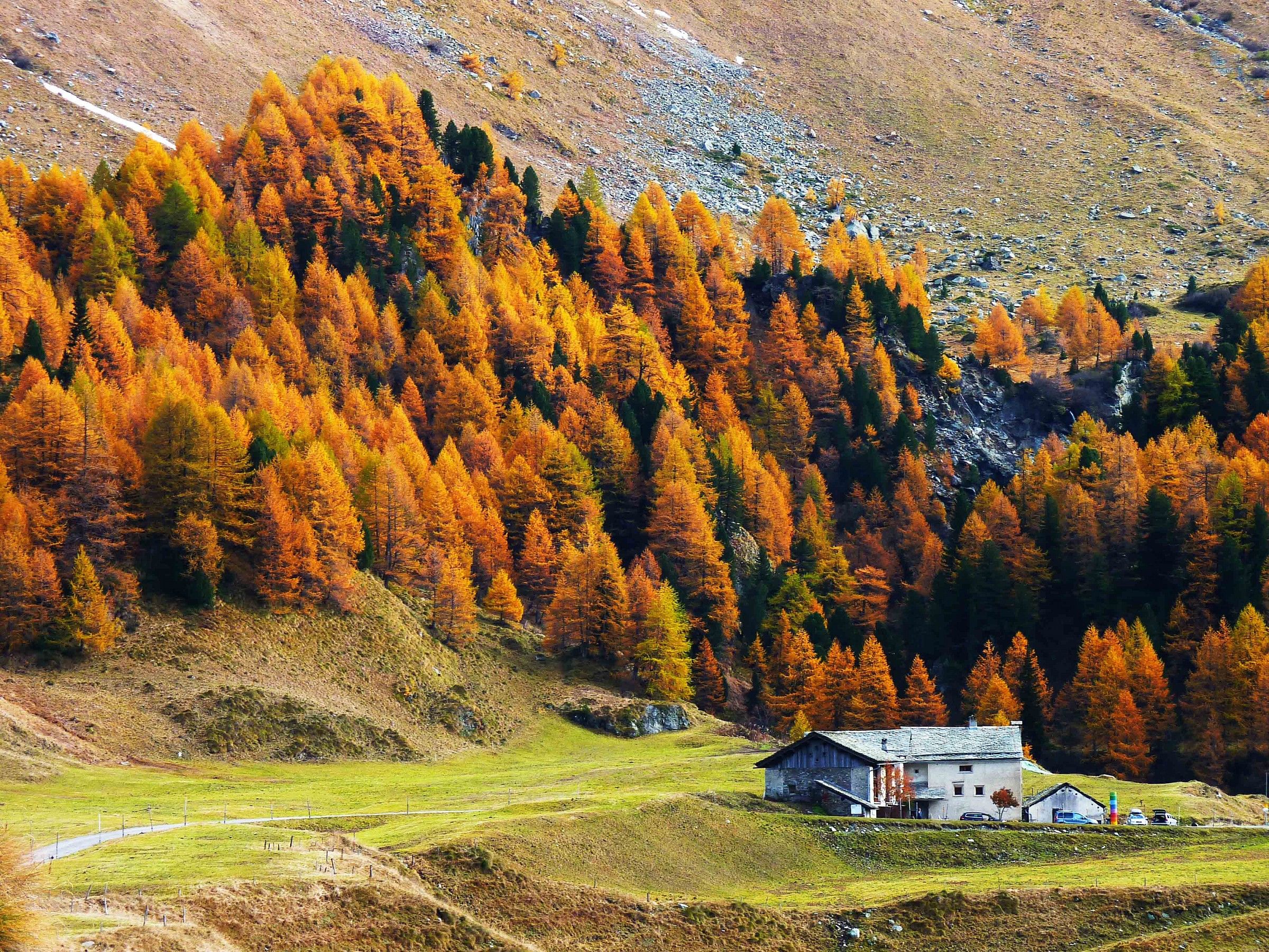 Valle Engadina (Svizzera)