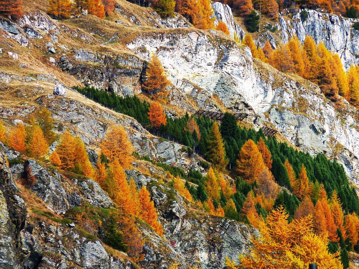 Valle Engadina (Svizzera)