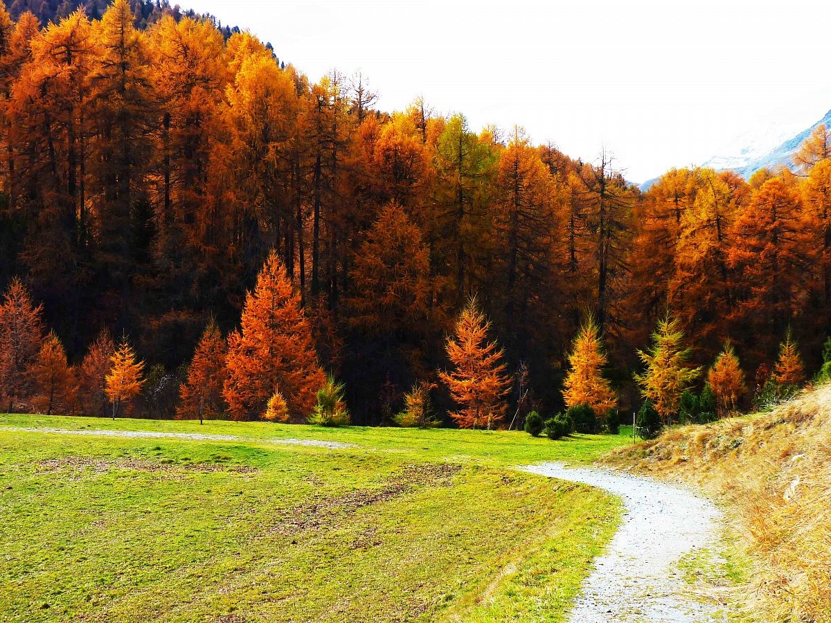 Valle Engadina (Svizzera)
