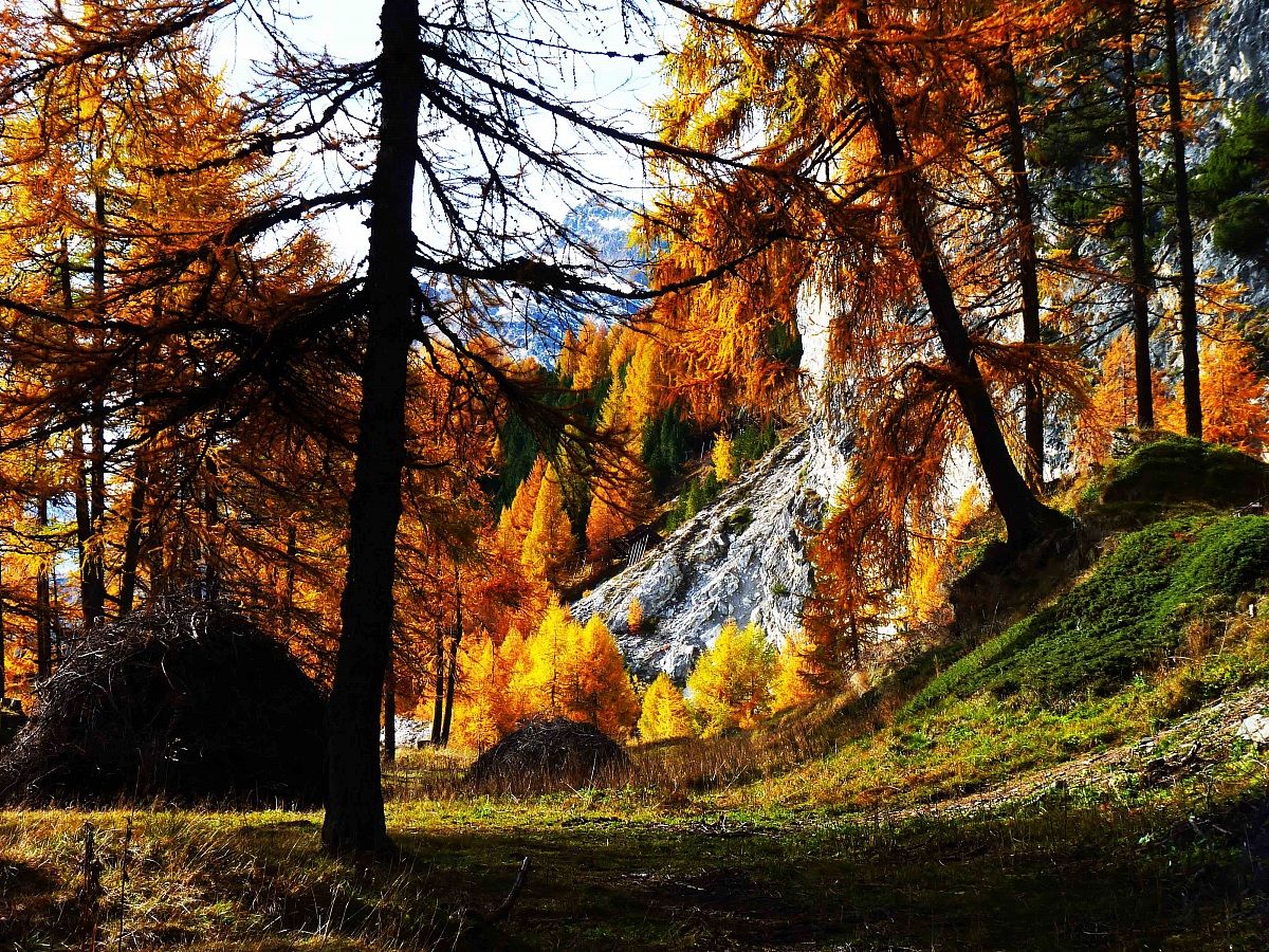 Valle Engadina (Svizzera)