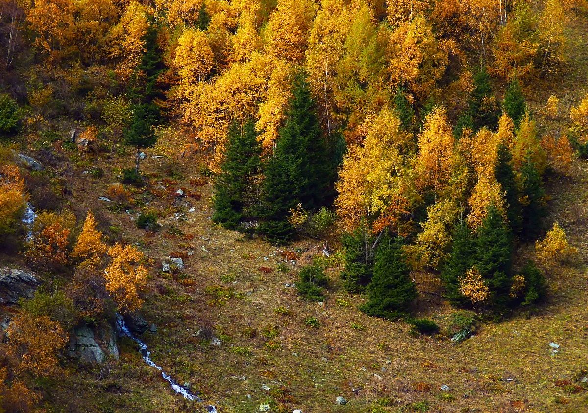 Valle Engadina (Svizzera)