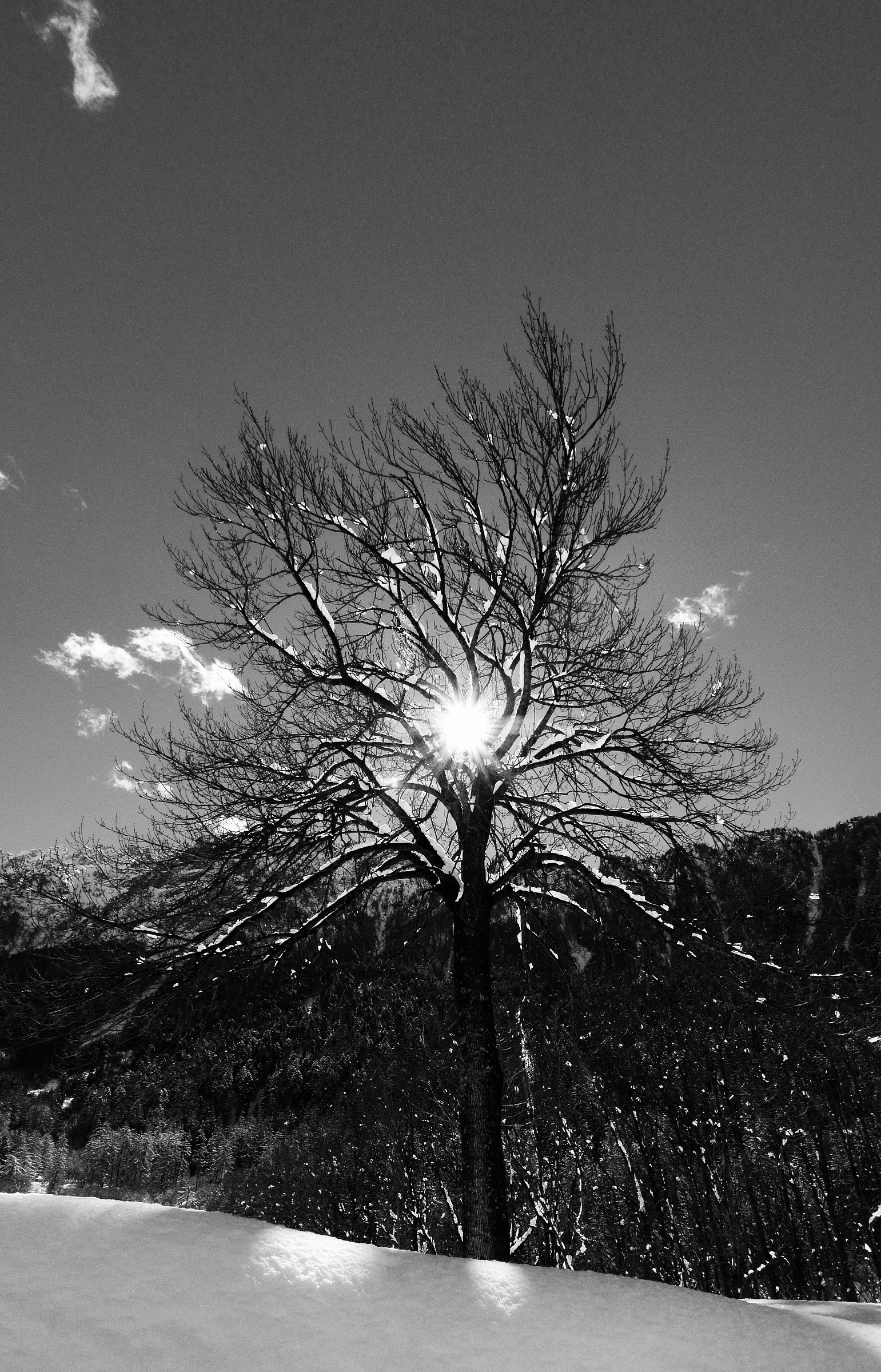 Valle Engadina (Svizzera)