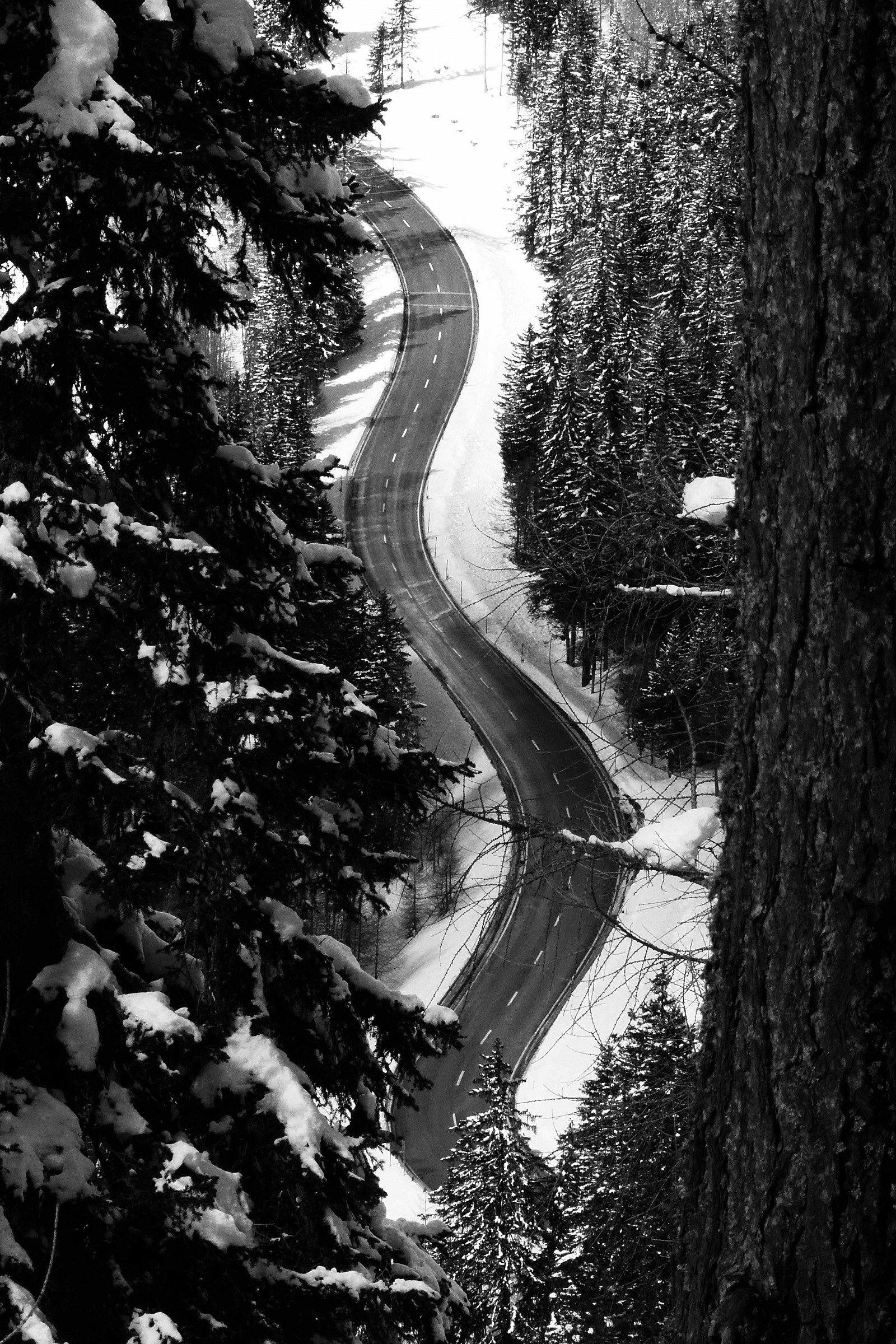 Valle Engadina (Svizzera)