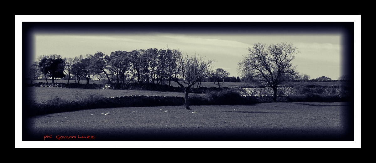 paesaggio!!!!