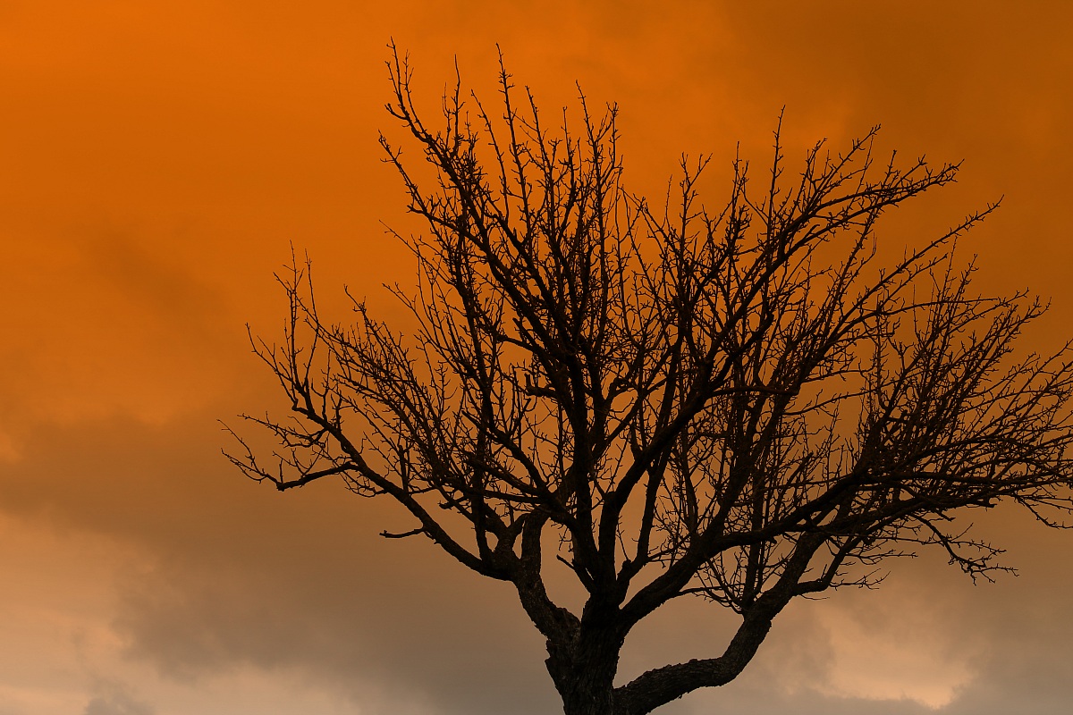 Sunset after the storm