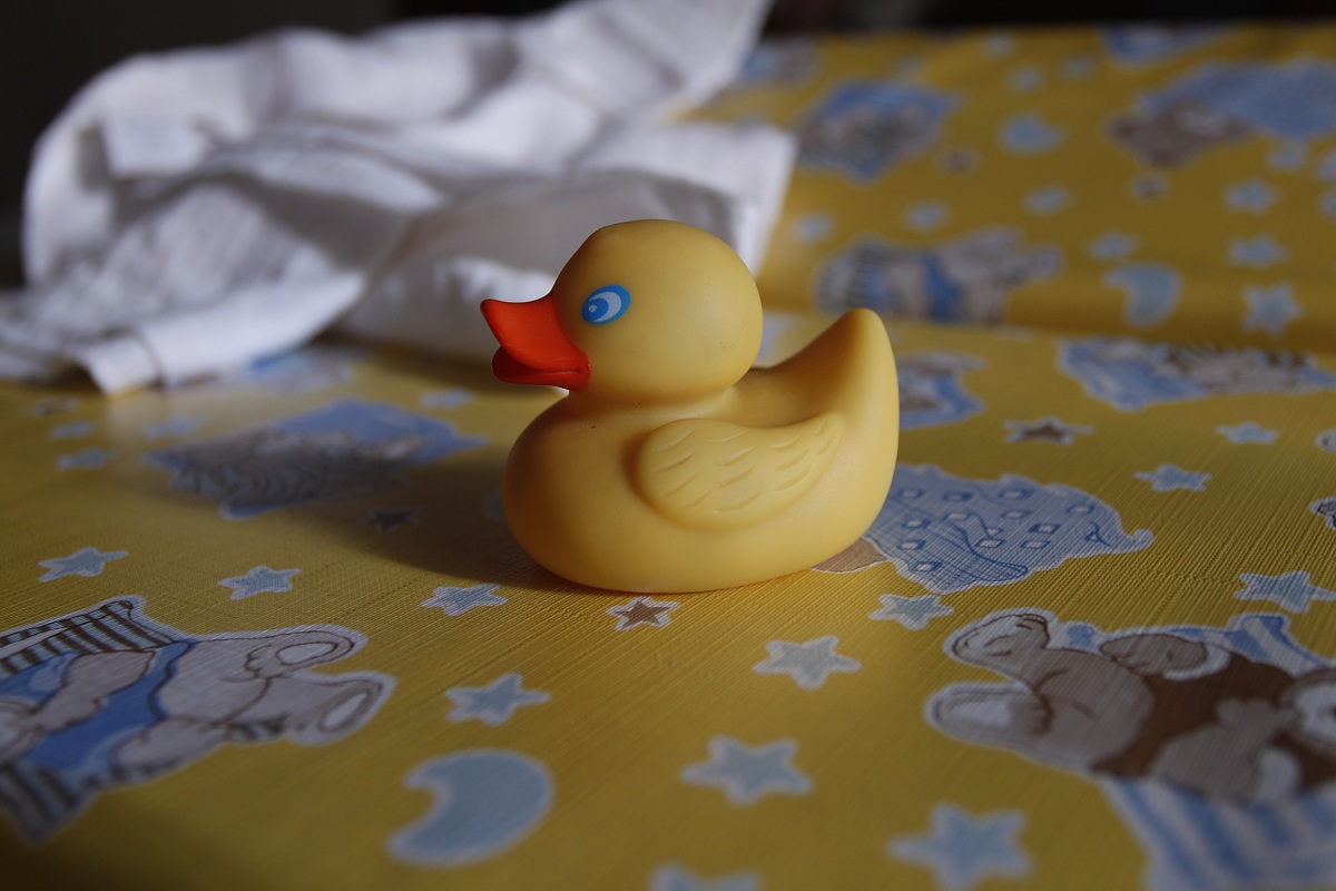 Paperella di Gomma Gialla (un Classico)