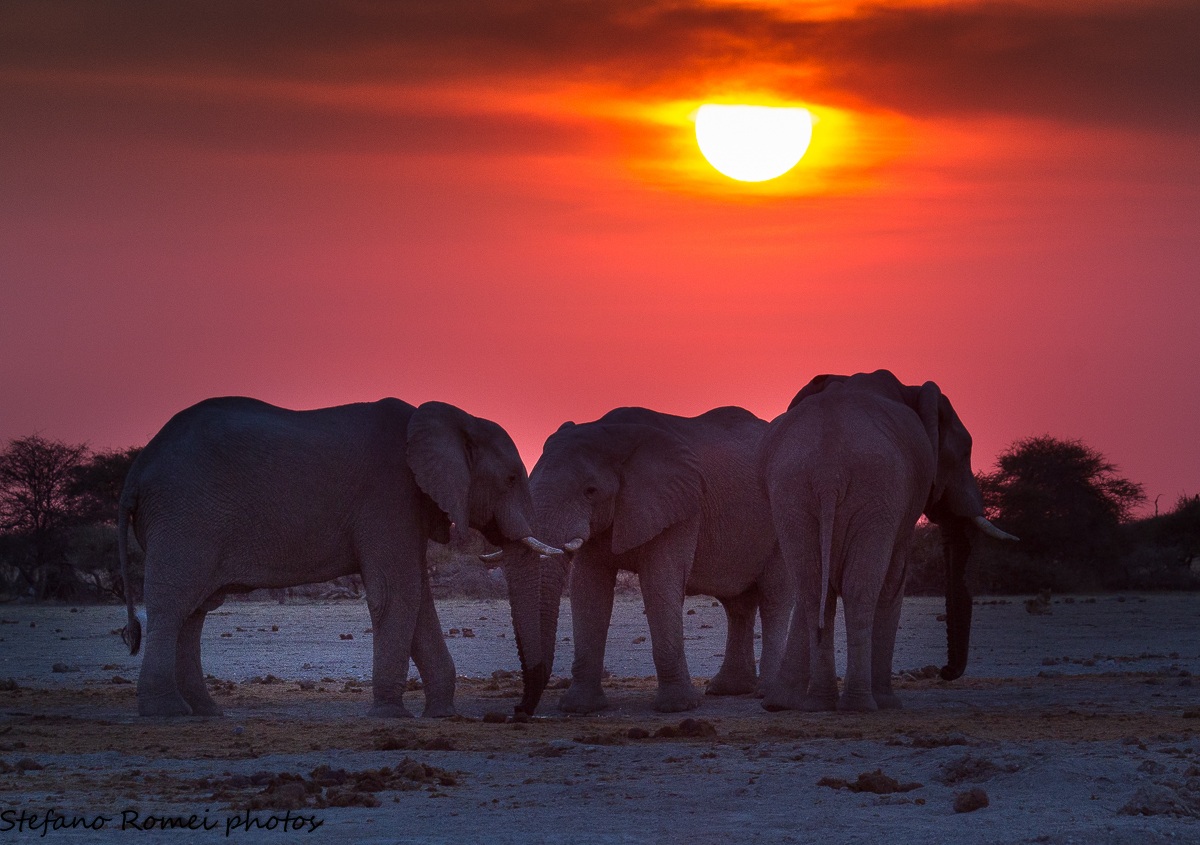 african sunset