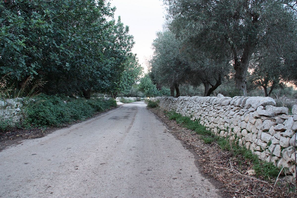 muri a secco  Modica