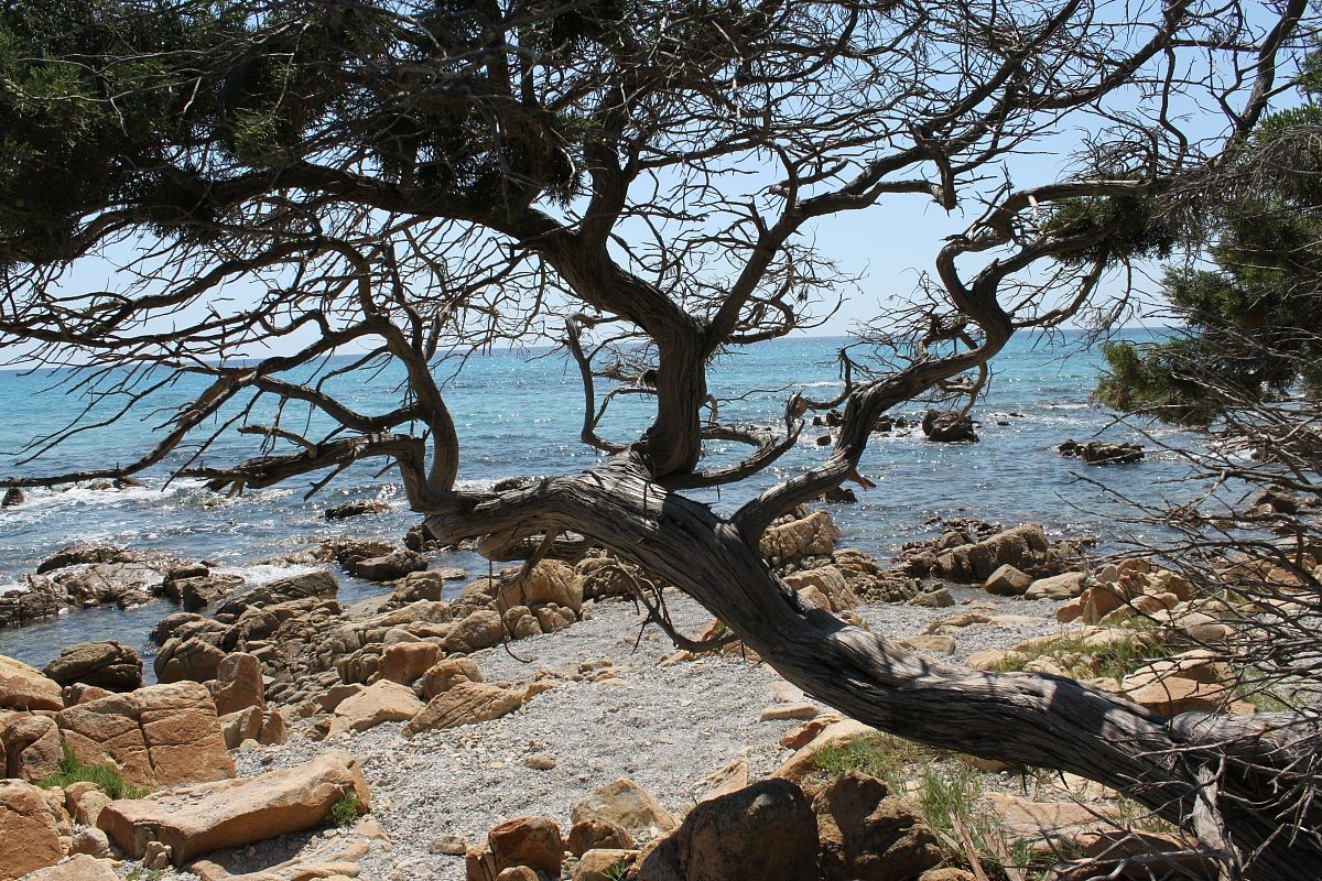 Oasis Bidderosa (Municipality Orosei), Sardinia